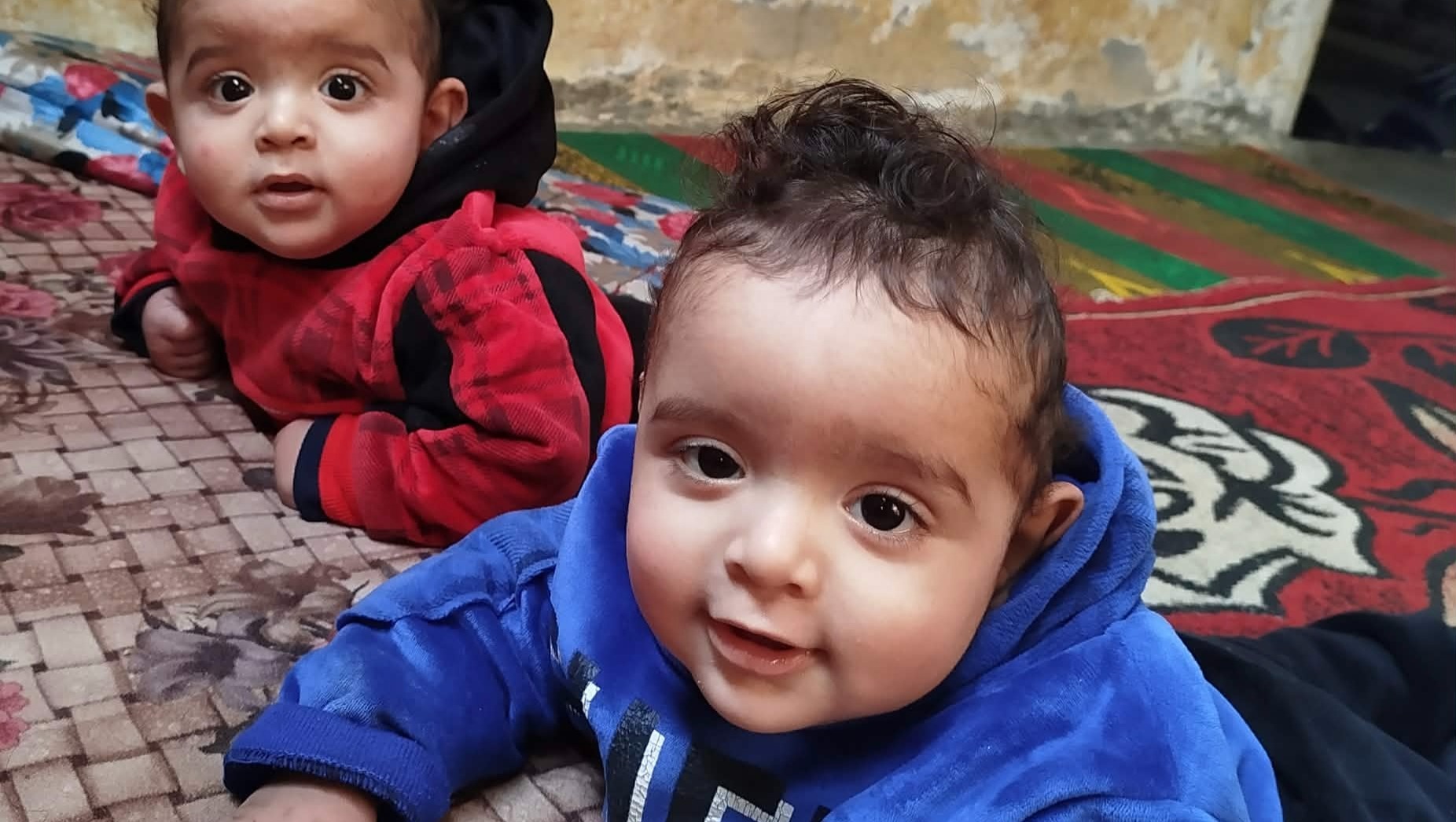 Help a family in Gaza to access food and survive photo