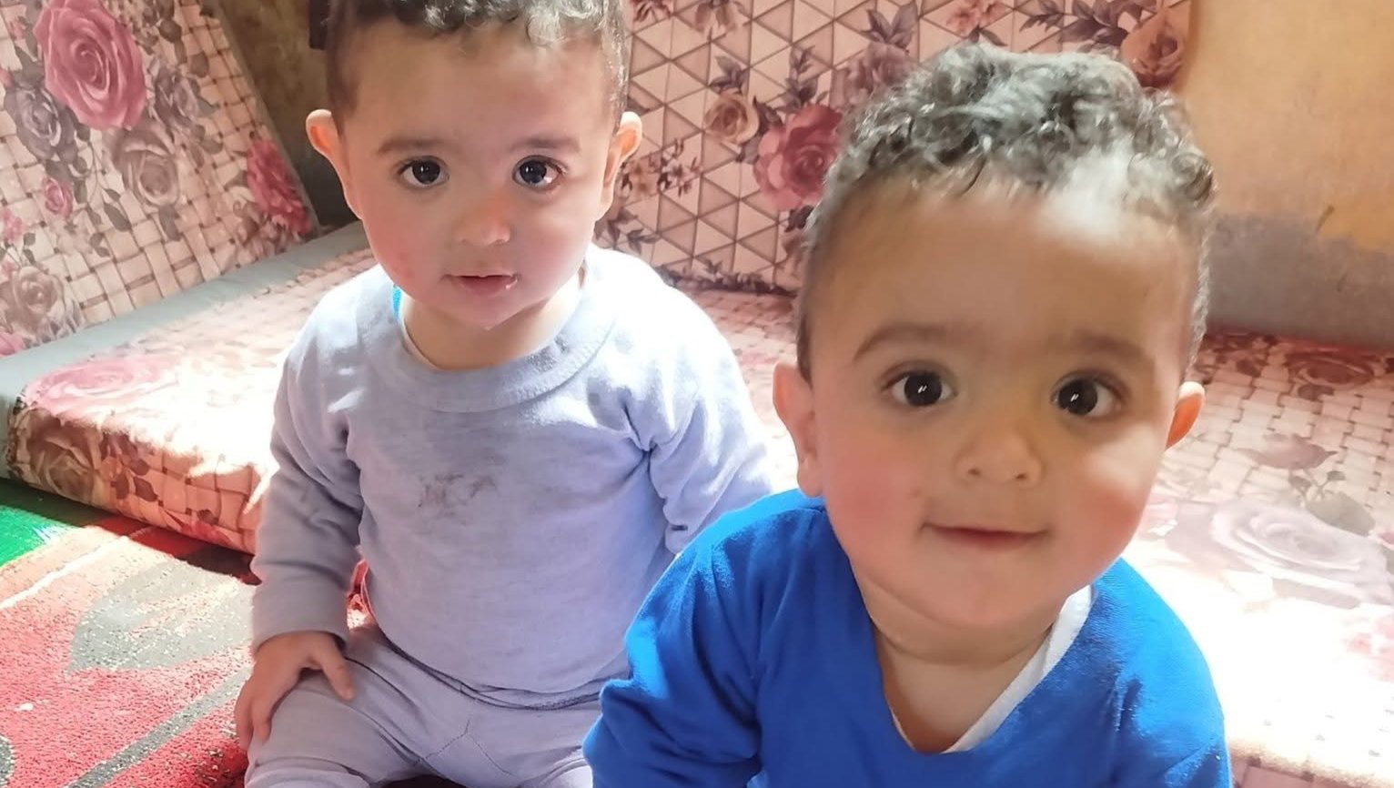 Help a family in Gaza to access food and essentials for life photo