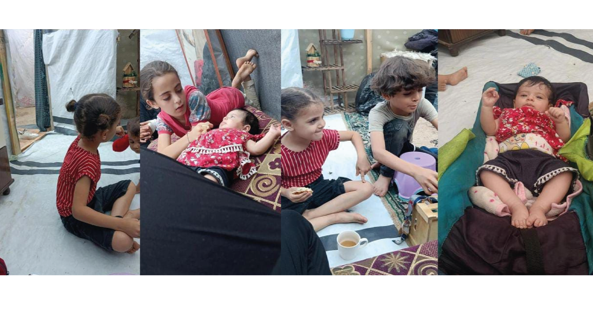 Help palestinian family with evacuation and food photo