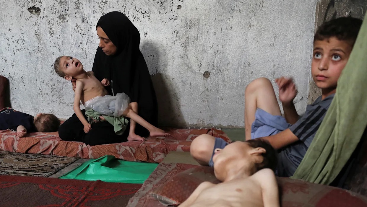 Help My Family Survive in Gaza! photo