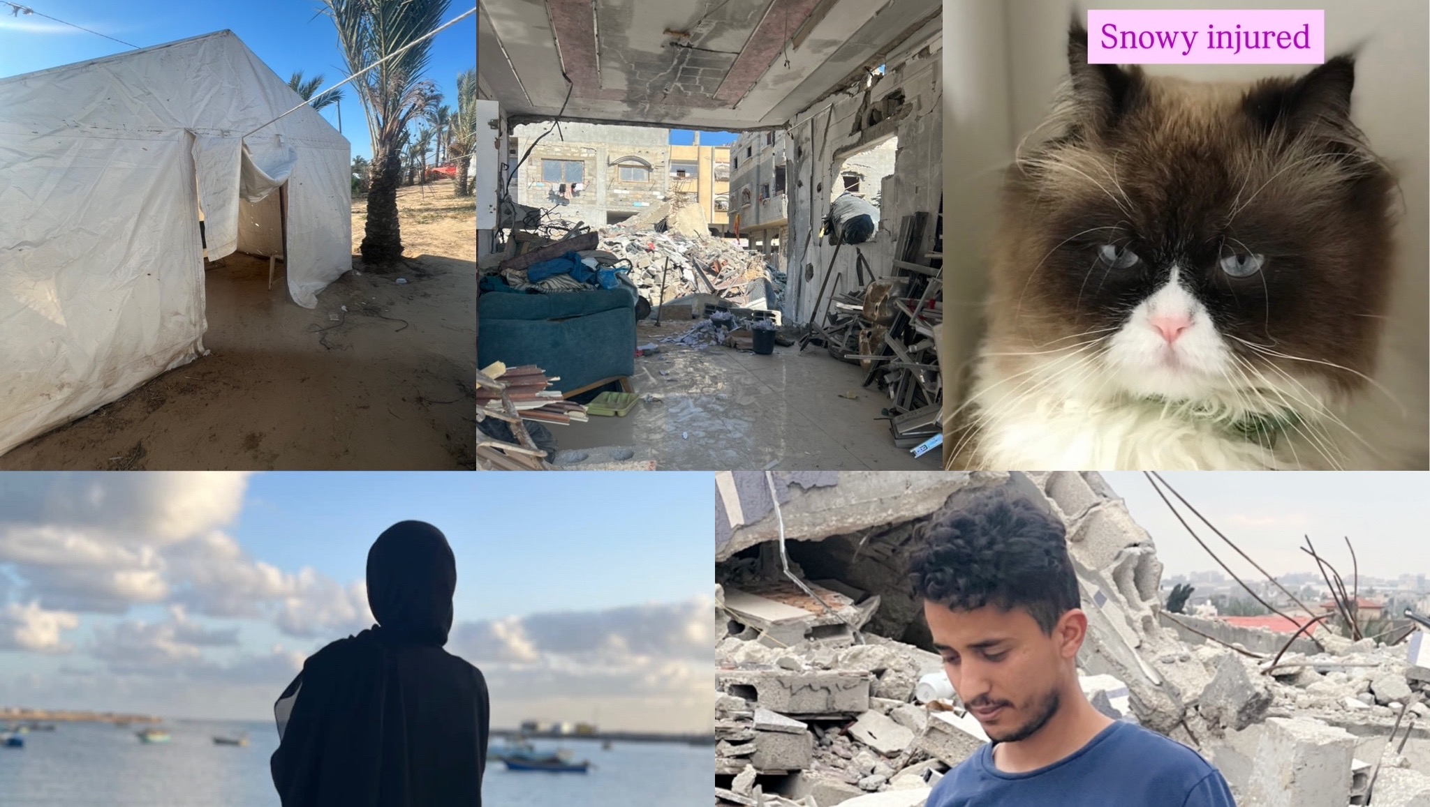 Help Lara   and help abdalla  to be safe in Gaza photo