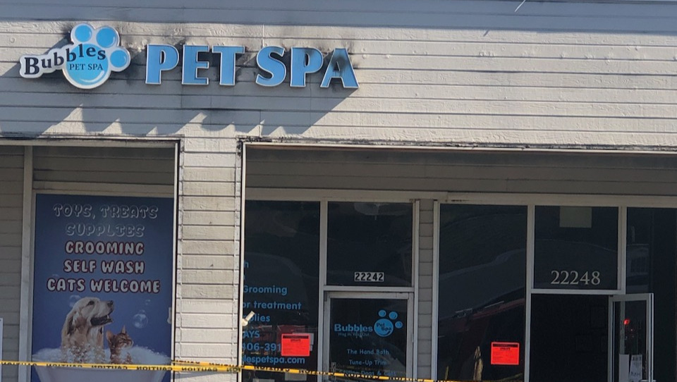 Fundraiser by Rescue Me Pets Bubbles Pet Fire & Robbery Relief Fund