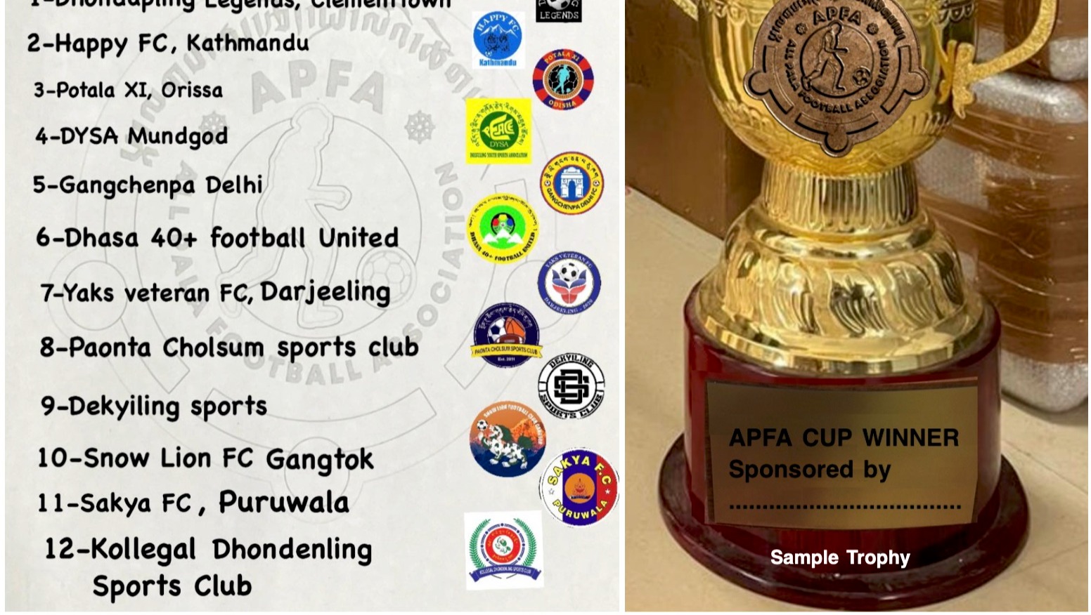 Fundraiser by Karma Ngodup for Tsering Yeshi President APFA All Pala