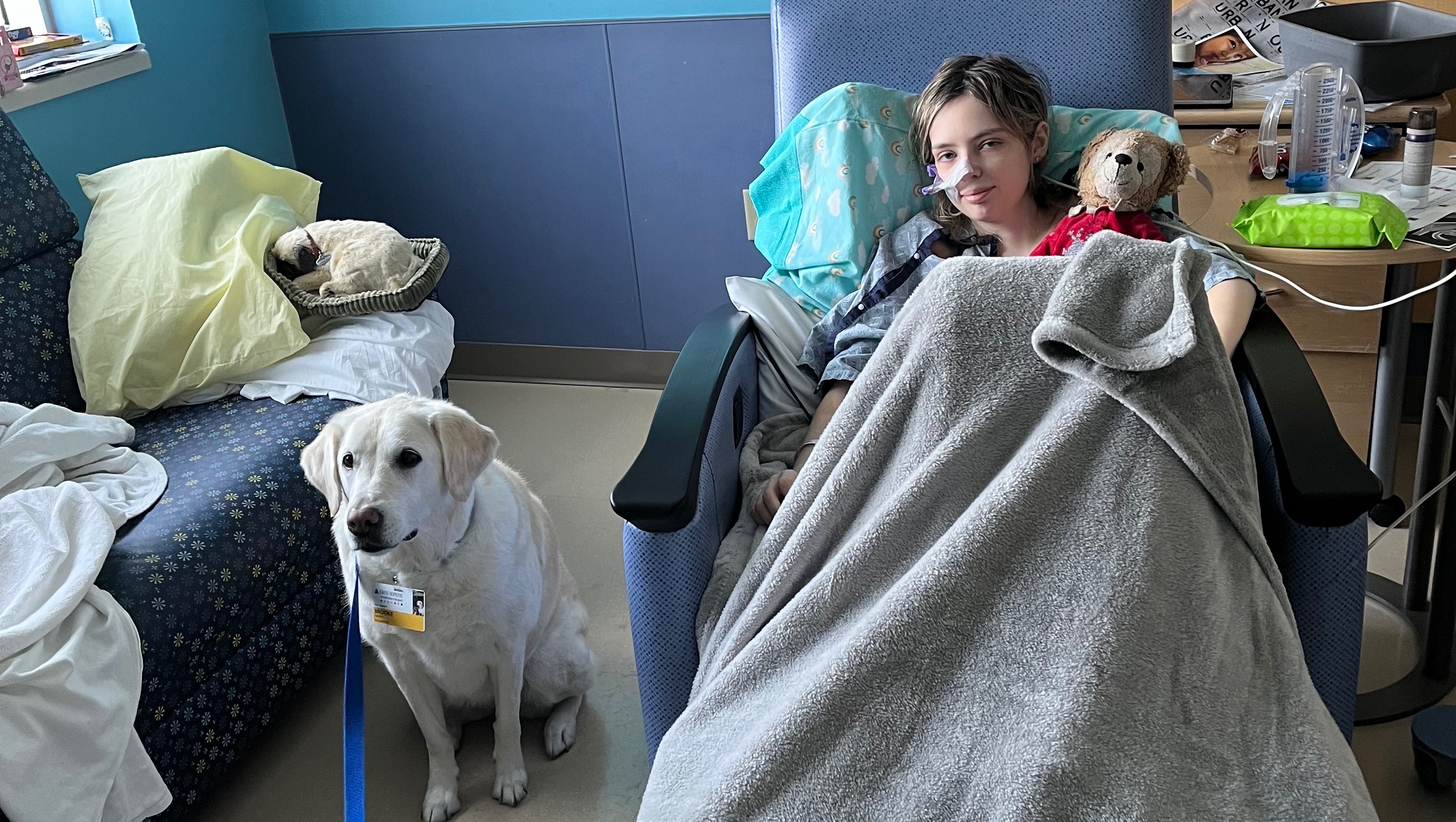 Kaylee'S Journey: A Visual Story On Instagram - teamqs8