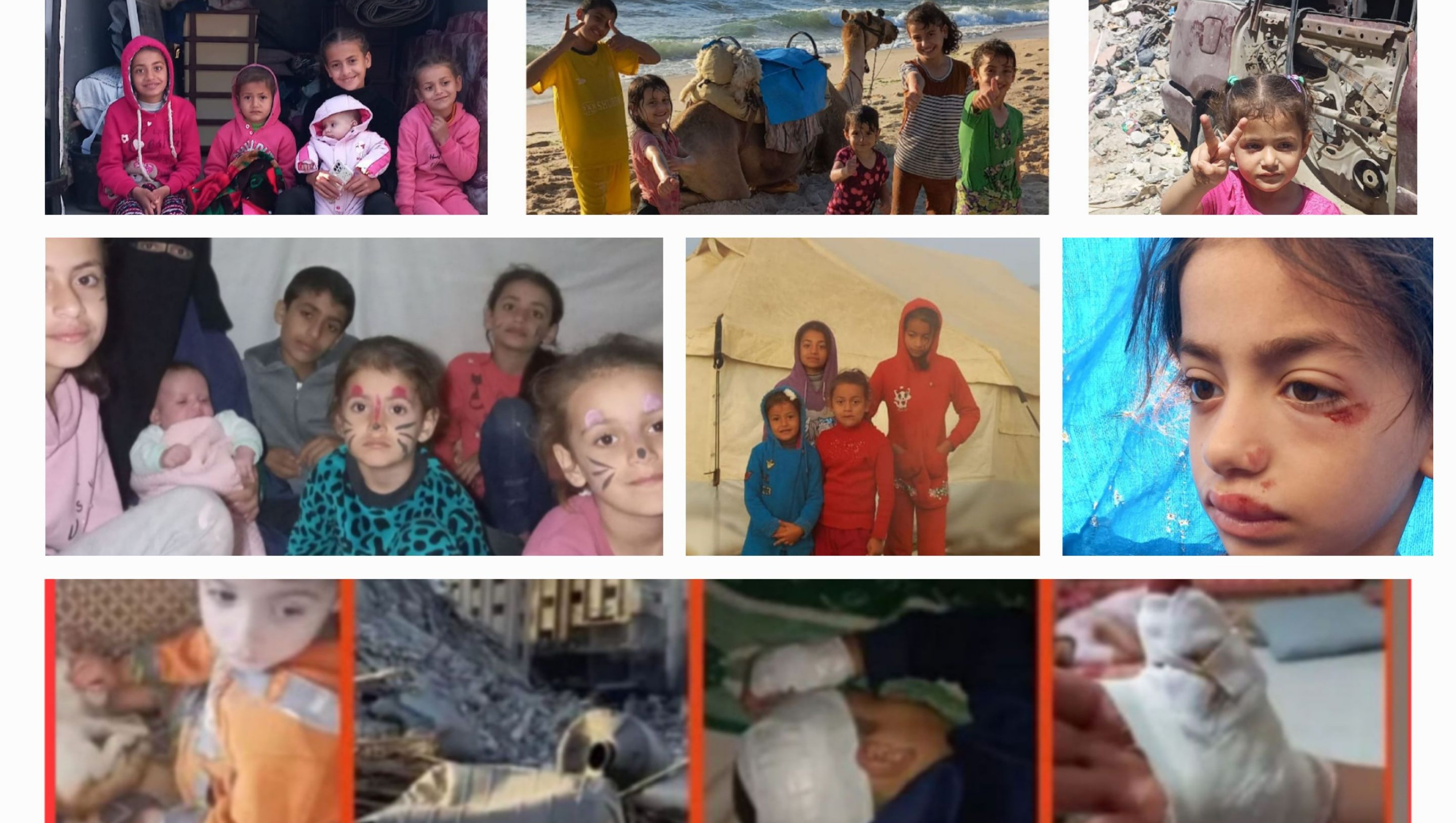 Help Nabeela and Hassan's family get food and leave Gaza photo