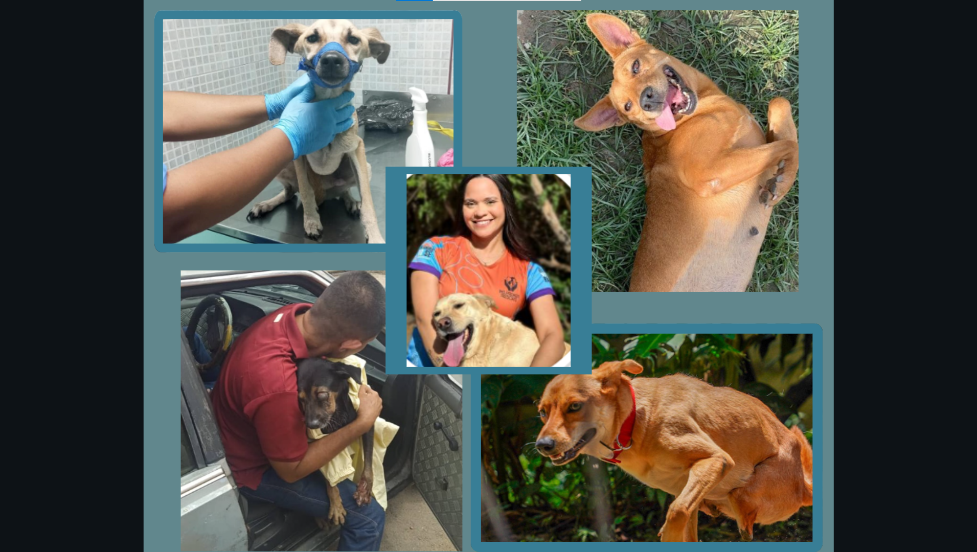 Mi Primer Rescate - Fundación de animales photo