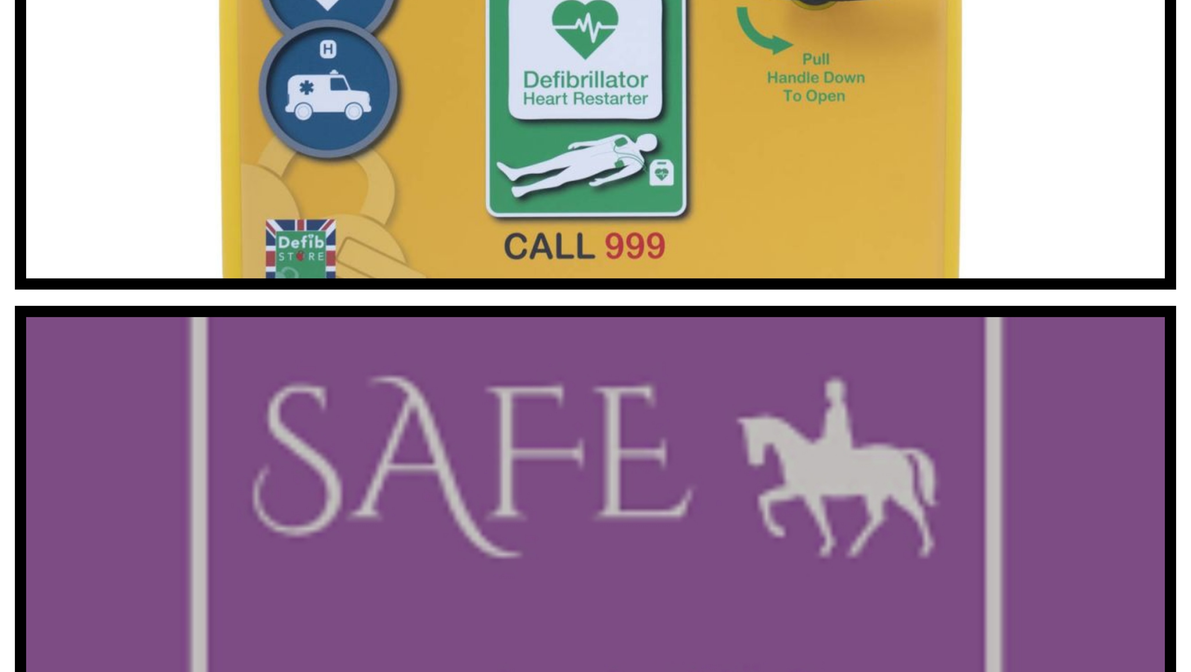 Fundraiser by Katie Richardson defibrillator funding for riding school