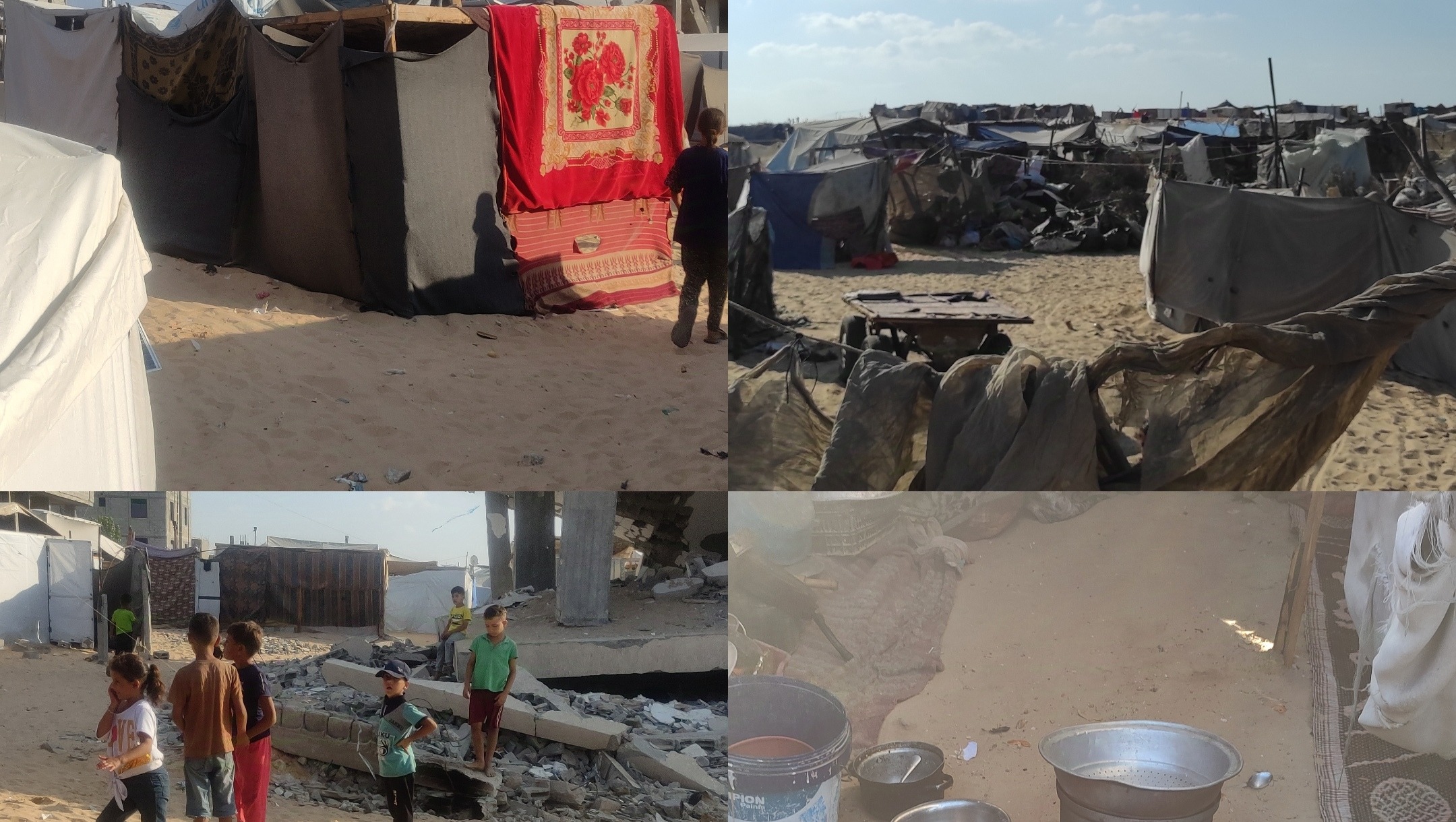 Help my family and neighbors from the sufferings of war photo