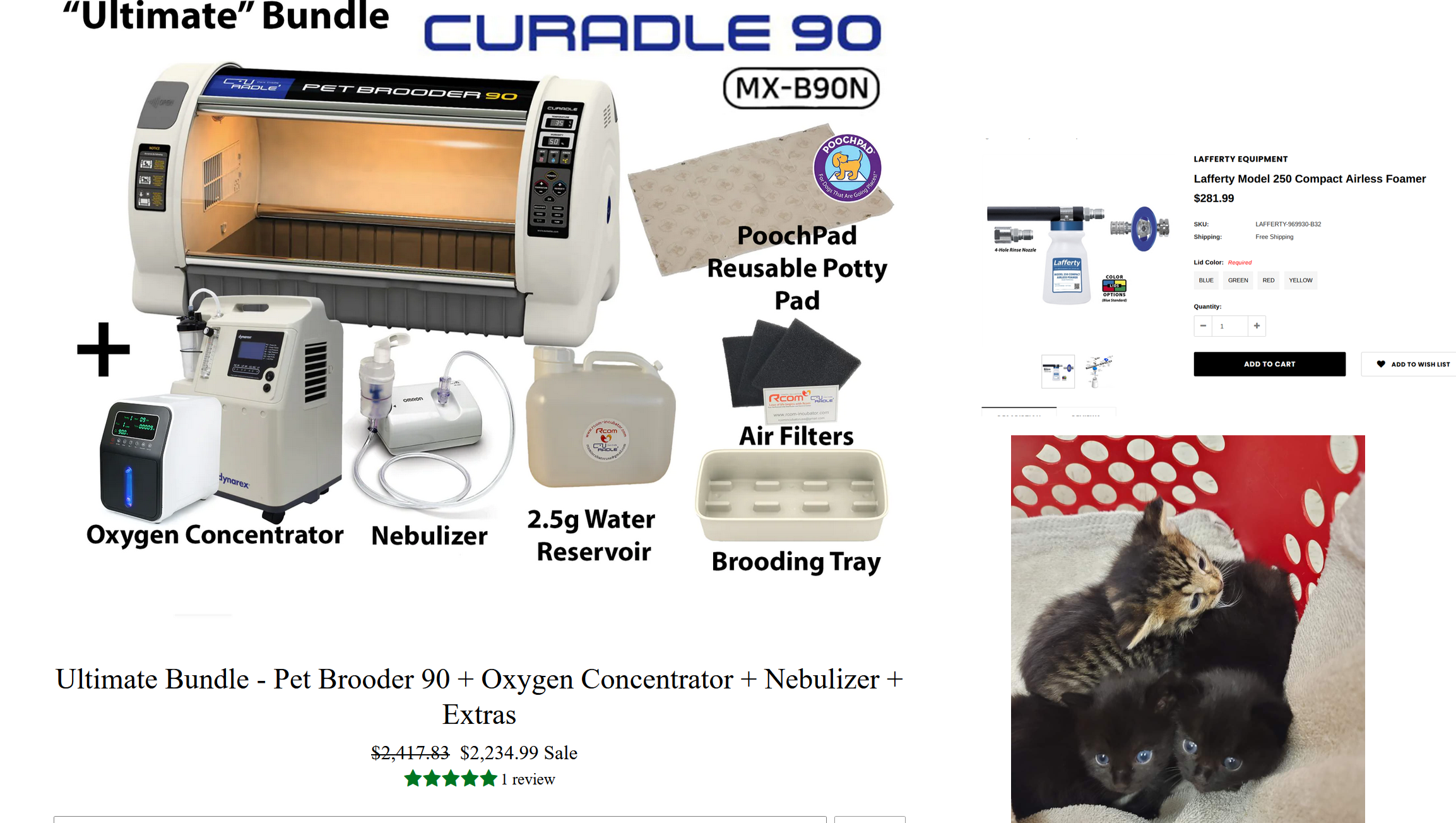 Fundraiser by Sylvia Fife Kitten Incubator Donate to Save Tiny