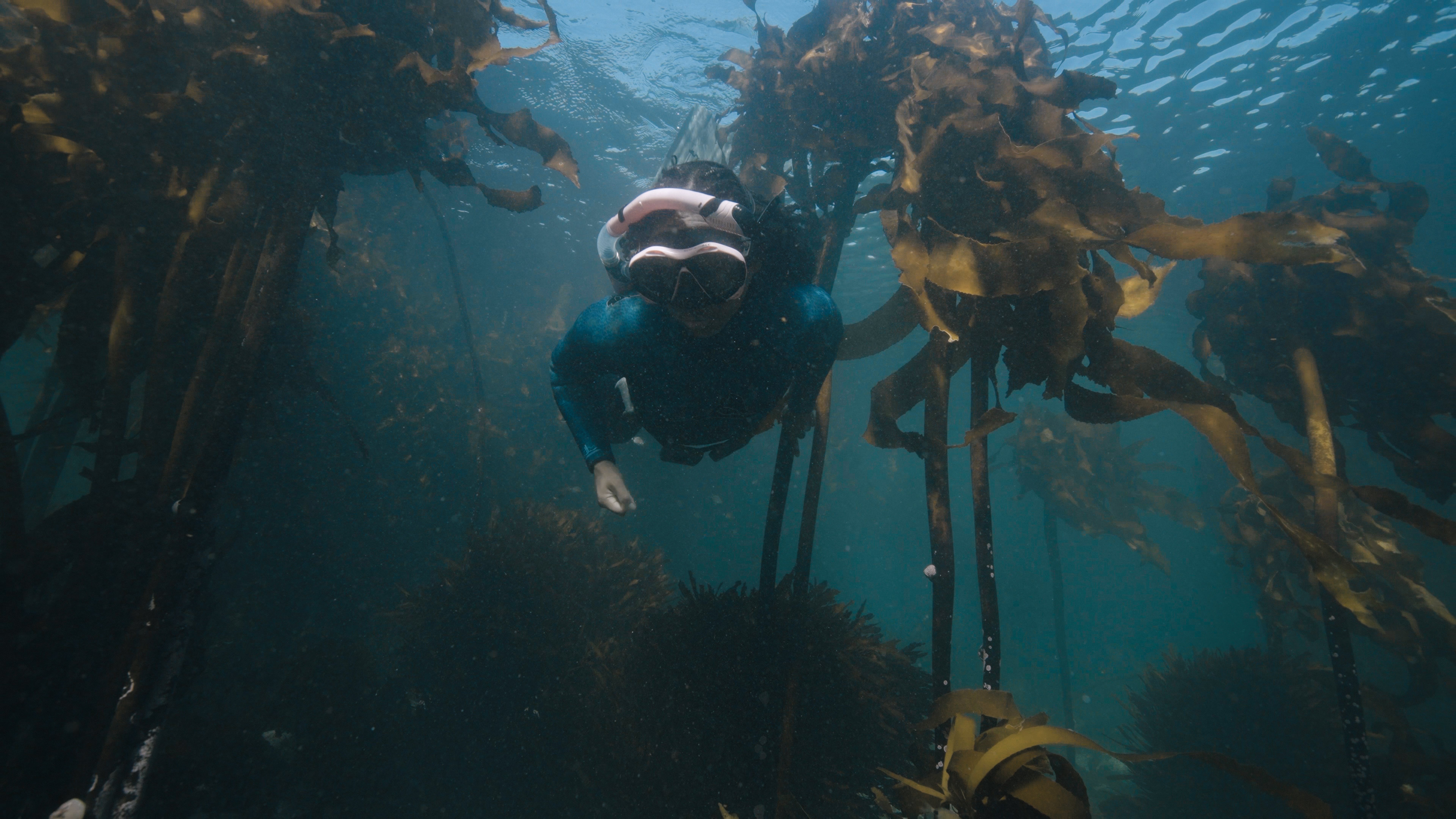 Guardians of the African Seaforest Documentary campaign photo, 4 of 8