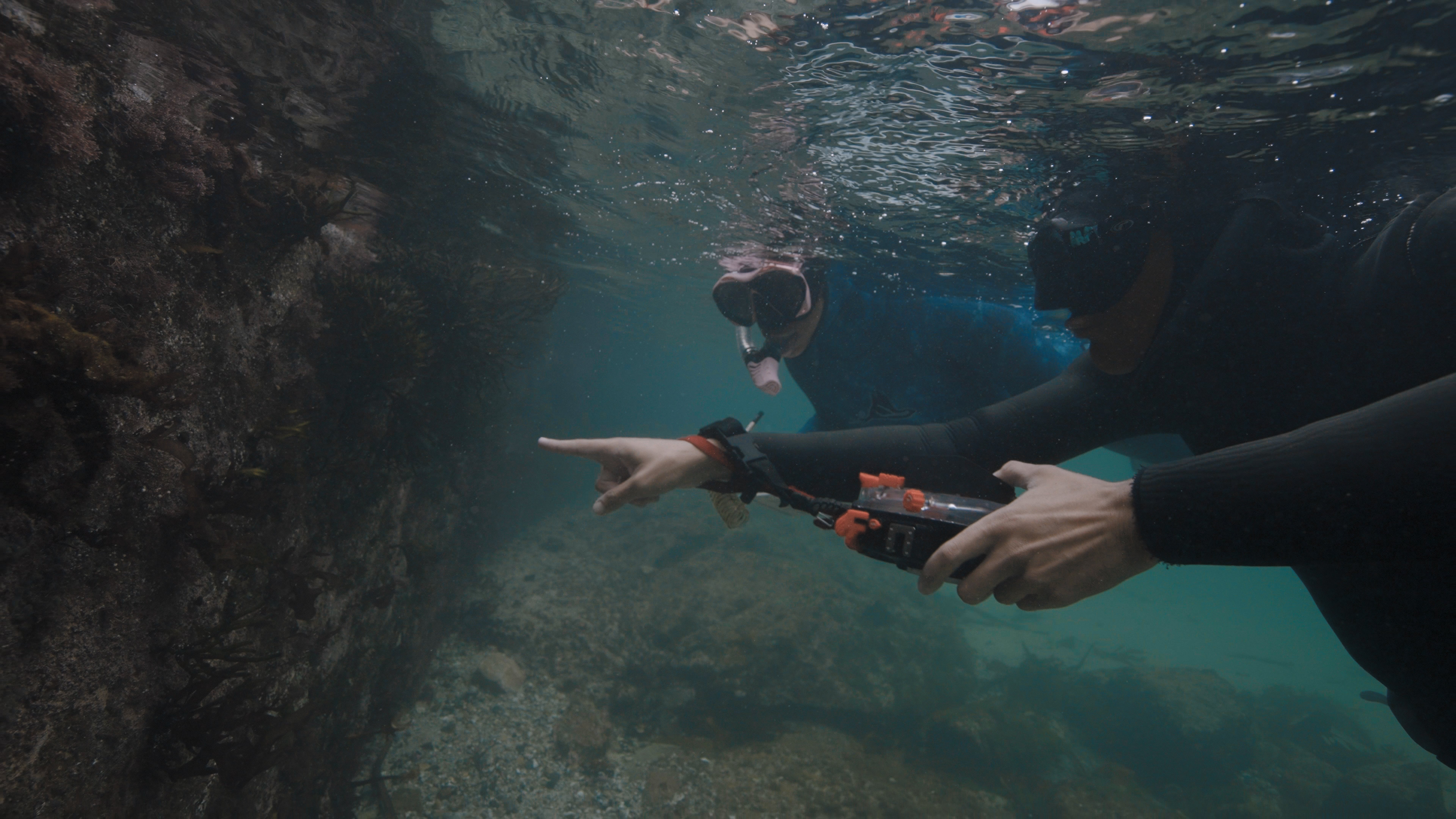 Guardians of the African Seaforest Documentary campaign photo, 2 of 8