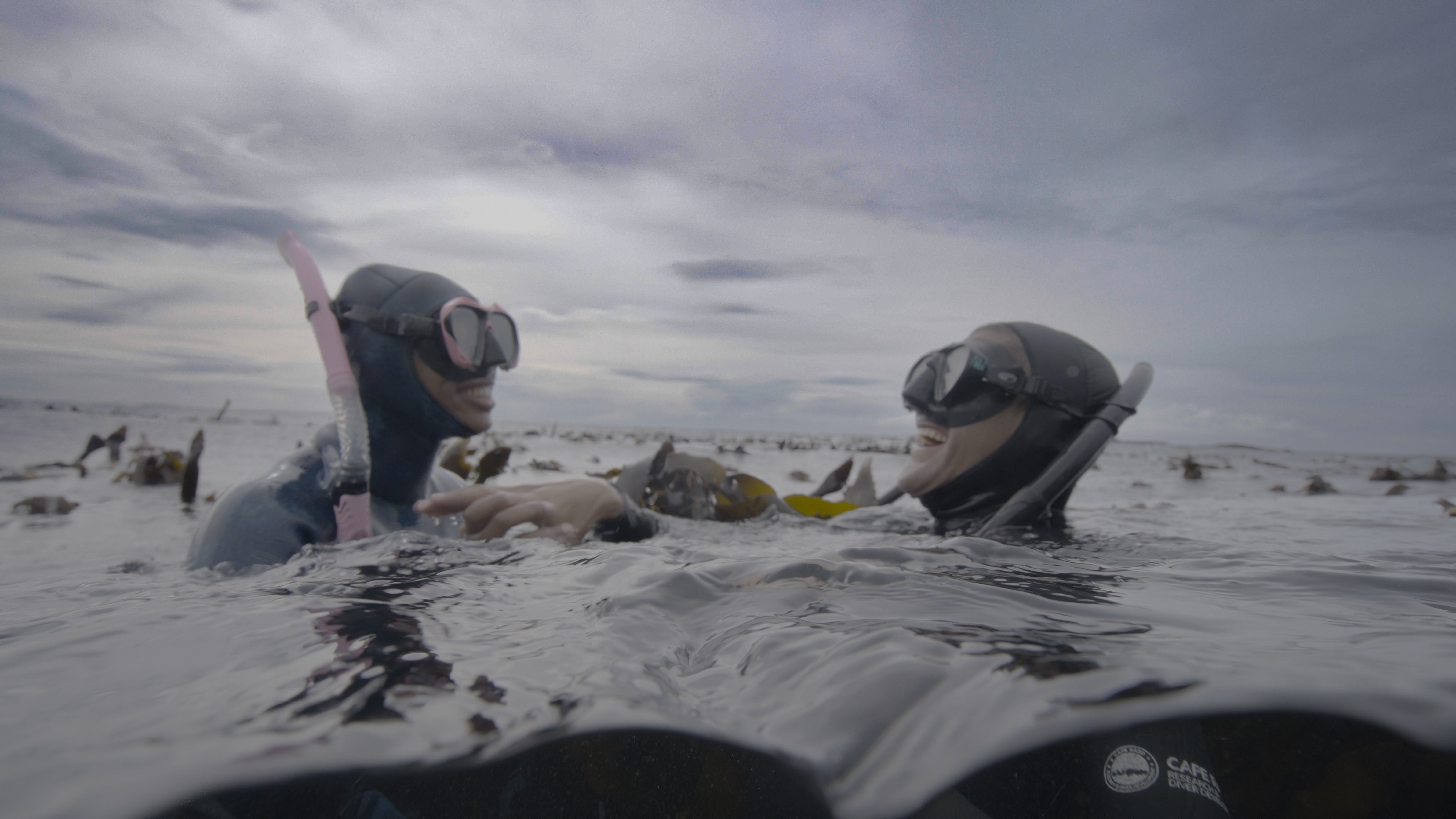 Guardians of the African Seaforest Documentary campaign photo, 6 of 8