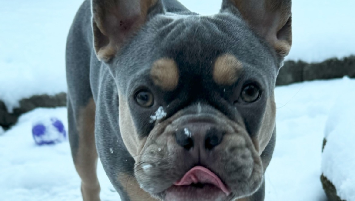 Crystal & Wrigley photo