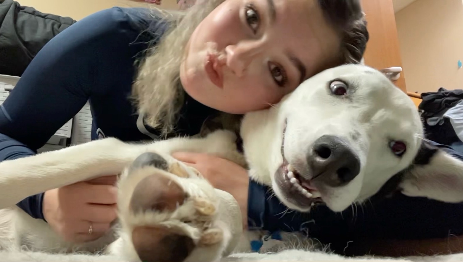 Fundraiser by Christine McCarney Help Iris a POTS Service Dog