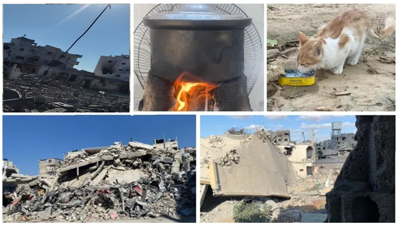 Humanity Relief for Mohammed’s family photo