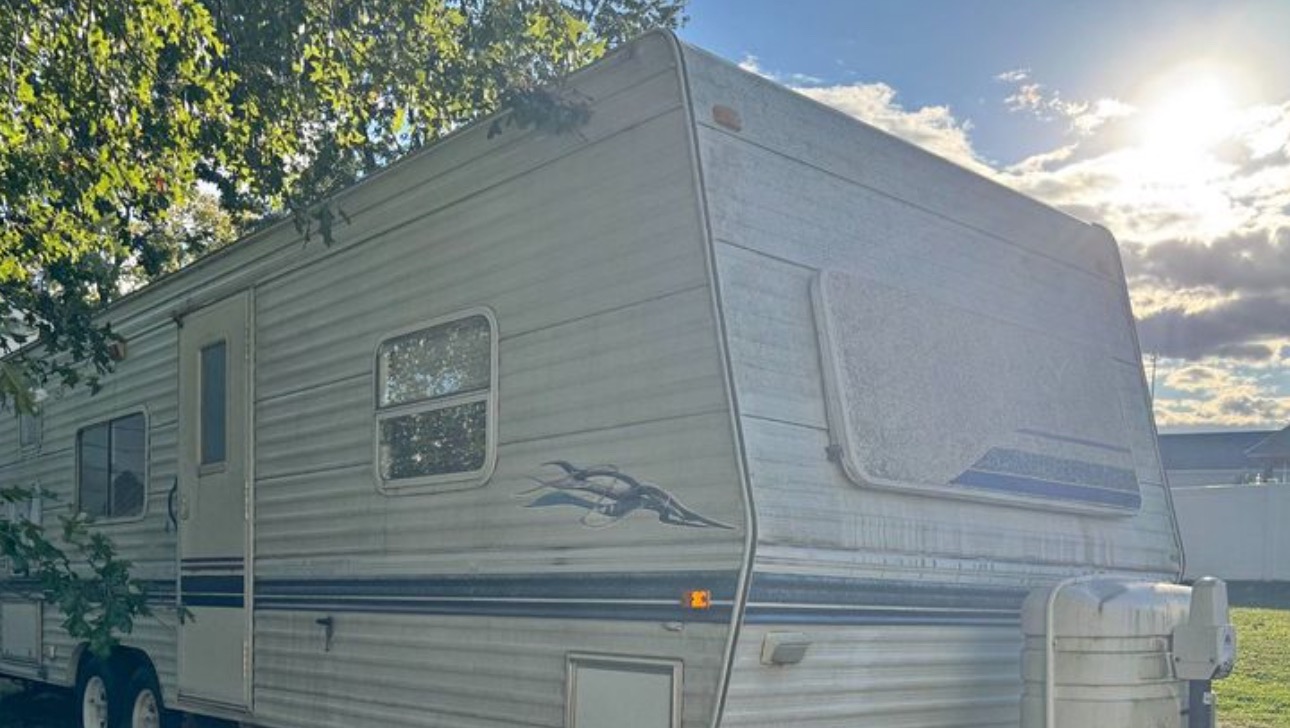 The Grafted Greenhouse (a chosen family sanctuary) photo