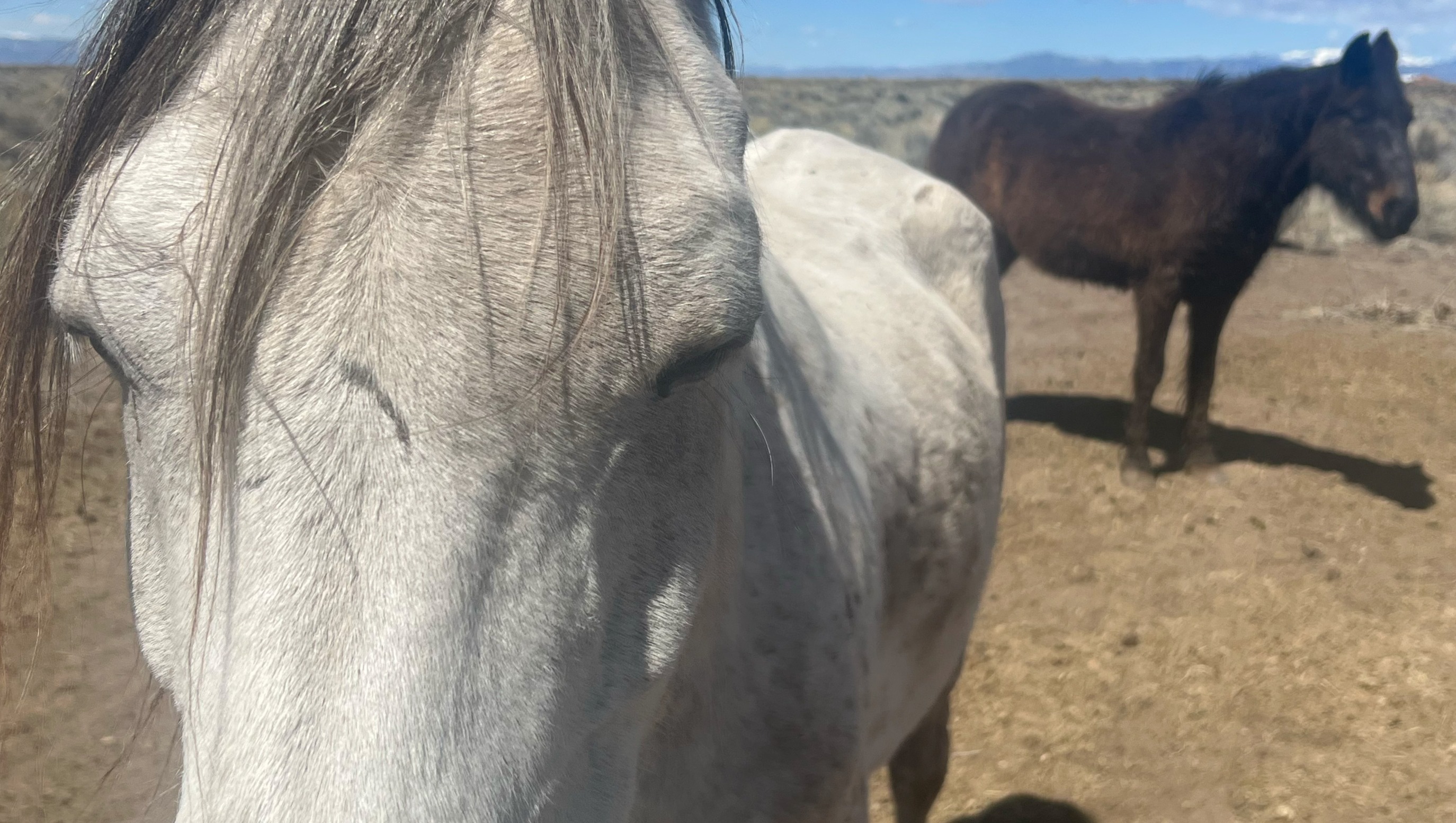 Julia Watkins' Instagram: A Personal Glimpse - tktxmyf