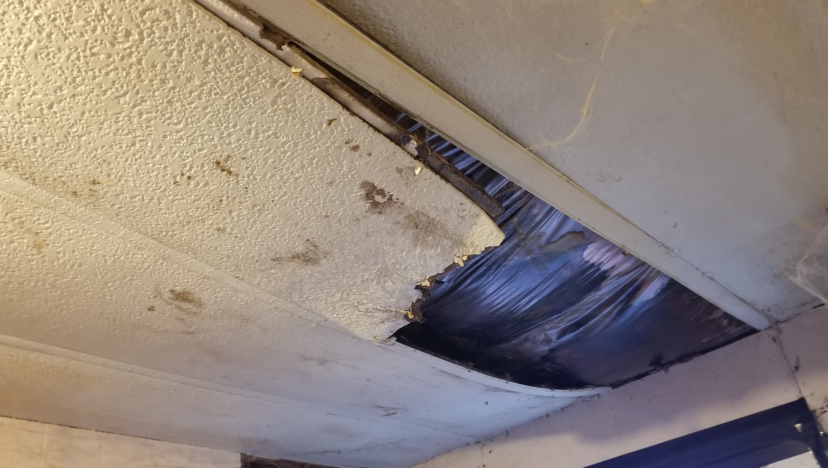 Fundraiser by Lowell Miller : Leaking Roof Help