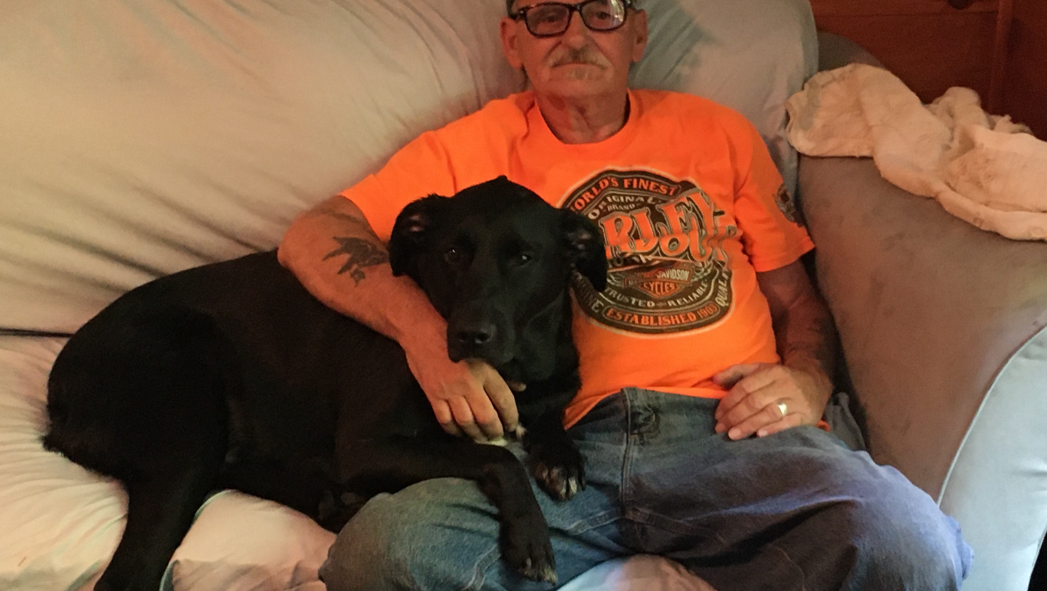 How Long Can A Dog Live With Cancer In His Lymph Nodes