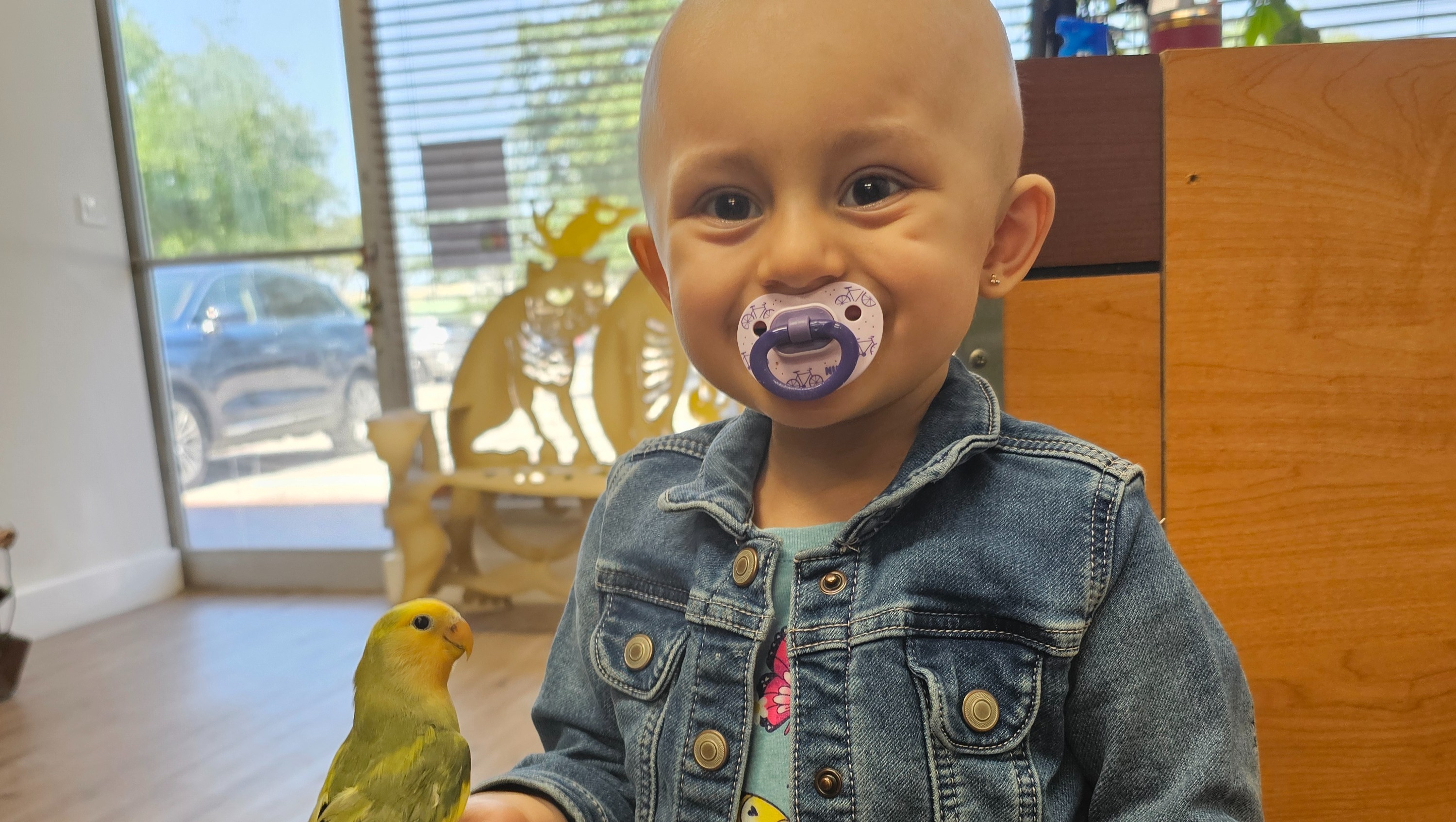 Genesis Rincon Fundraiser by Aylin Mejia : Baby Genesis Rincon-Mejia