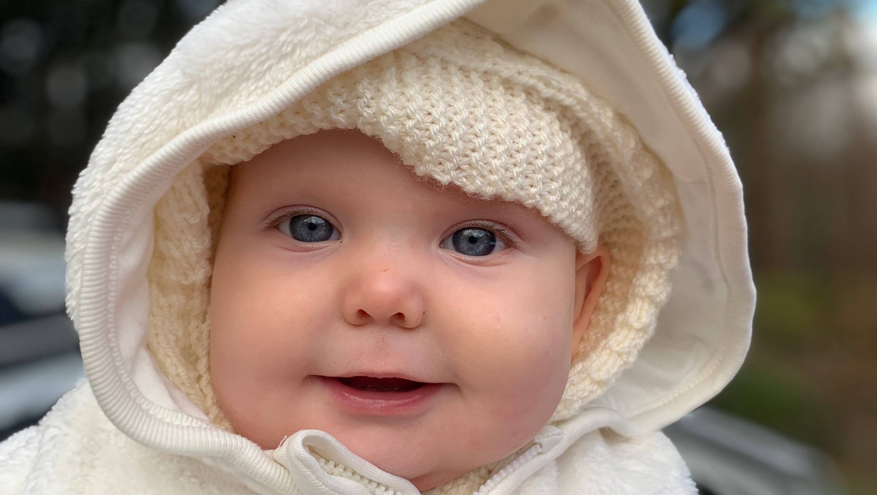 Fundraiser by Molly Sugg Posies open heart surgery