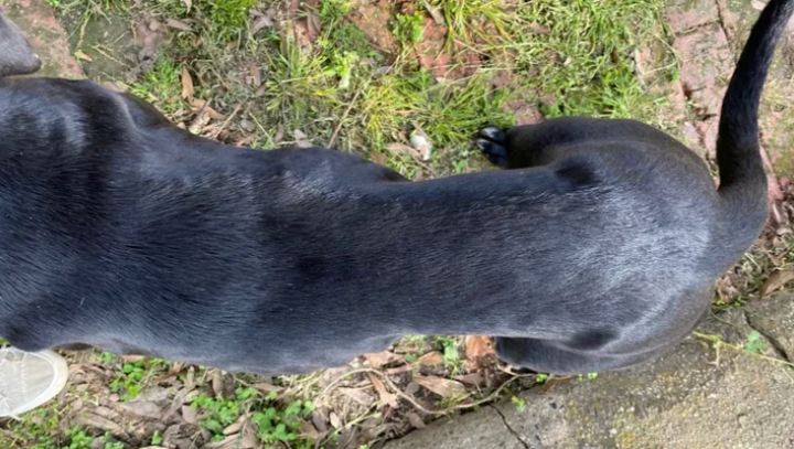 Family of 5 DUMPED on a back country road photo