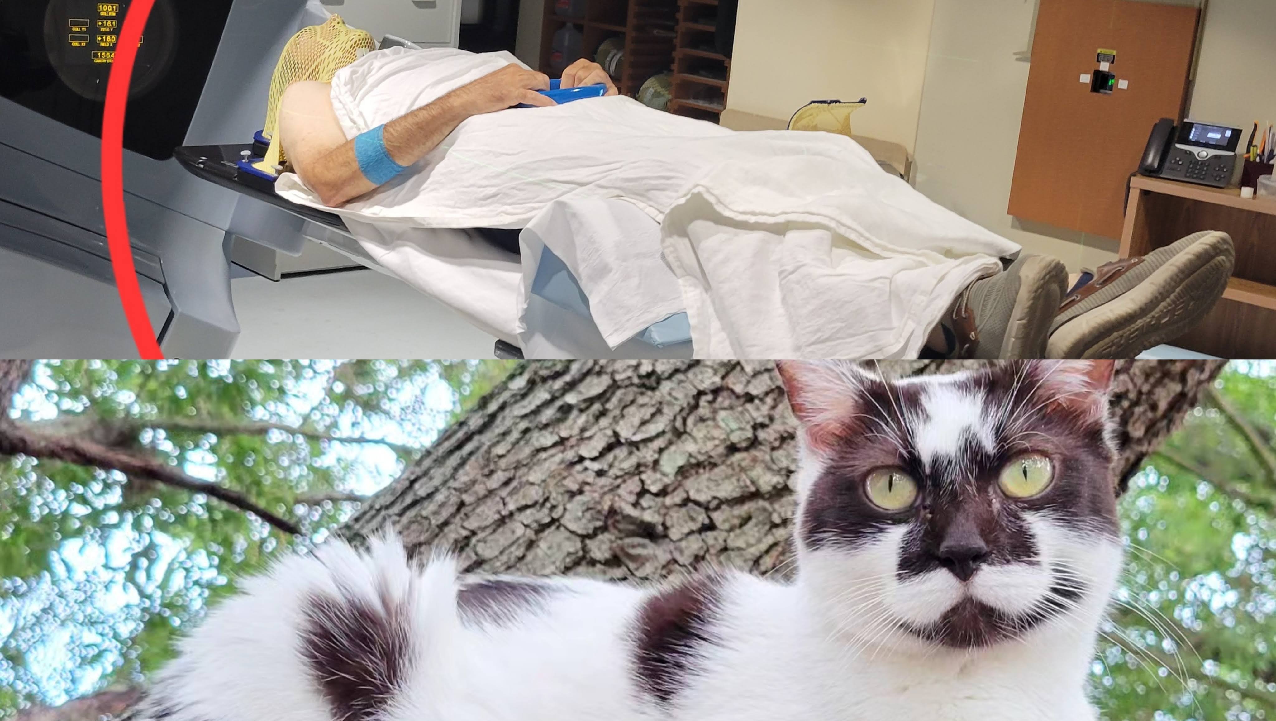 Help Ron and Aria with their cancer fight. photo