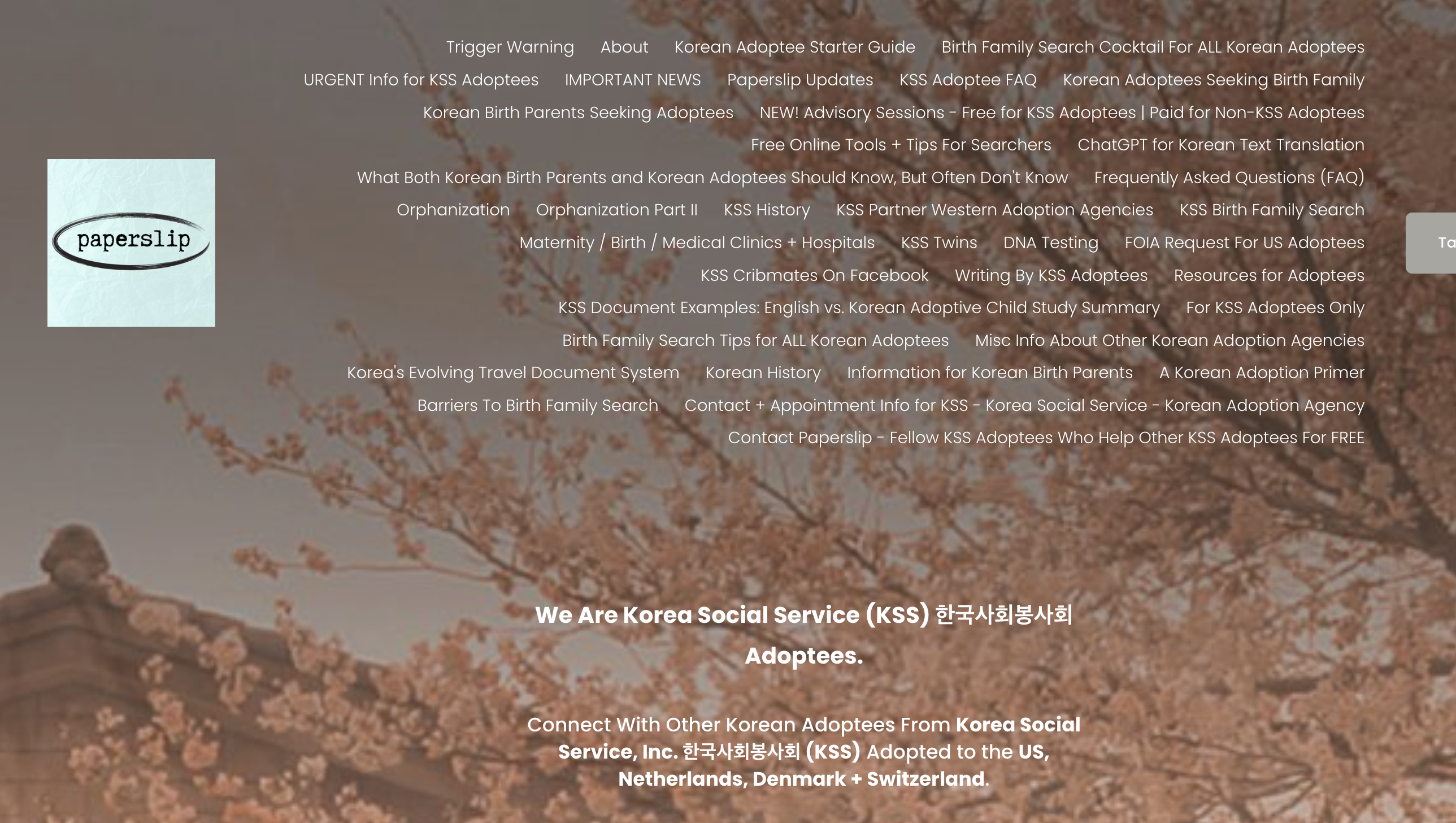 Fundraiser by Paperslip Adoptee : Empower Korean Adoptees with Paperslip