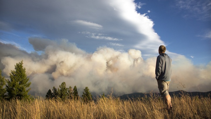 Wildfire Relief Fund 2025 foto con enlace fijado