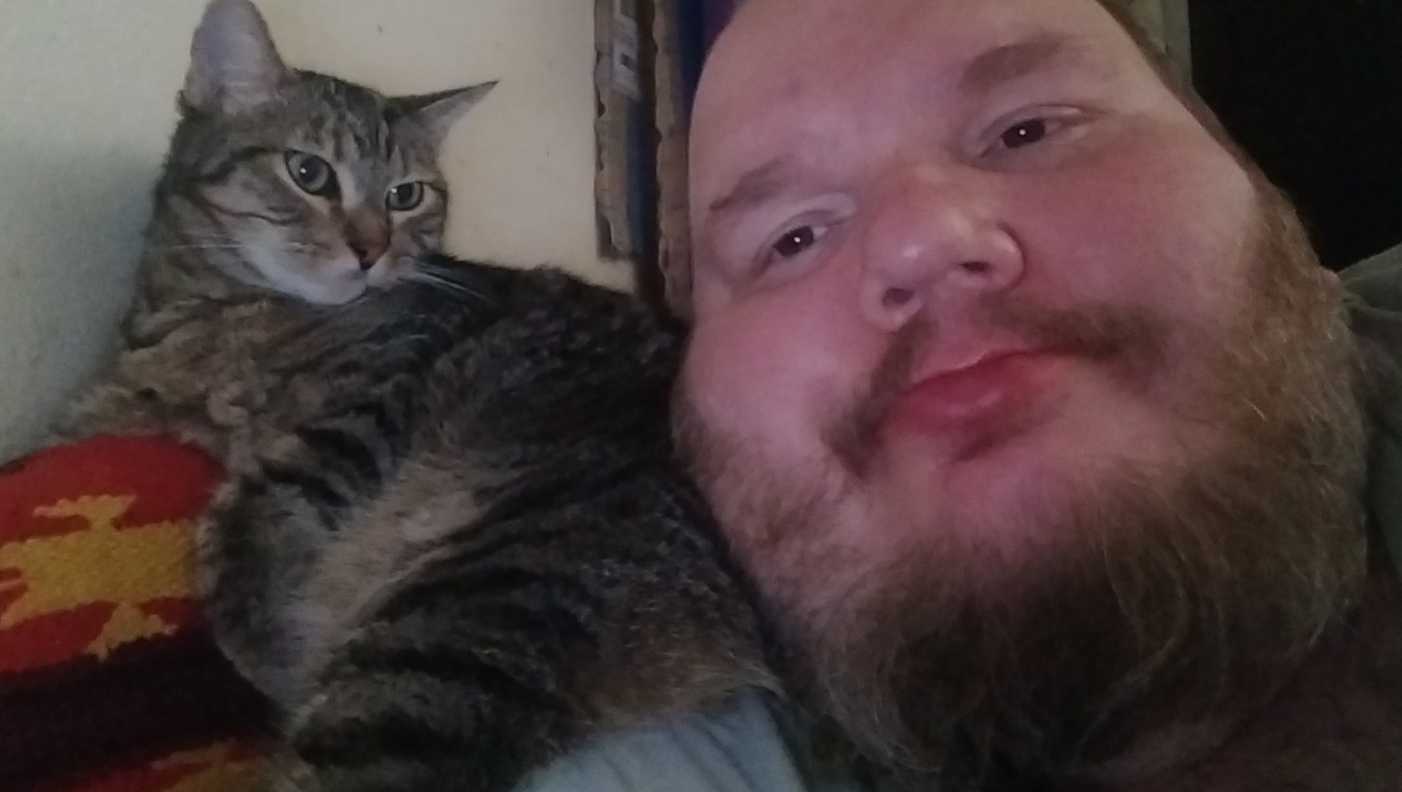 John Rooks Cat Fundraiser by John Rohrbach : Help John Feed His Furry Family
