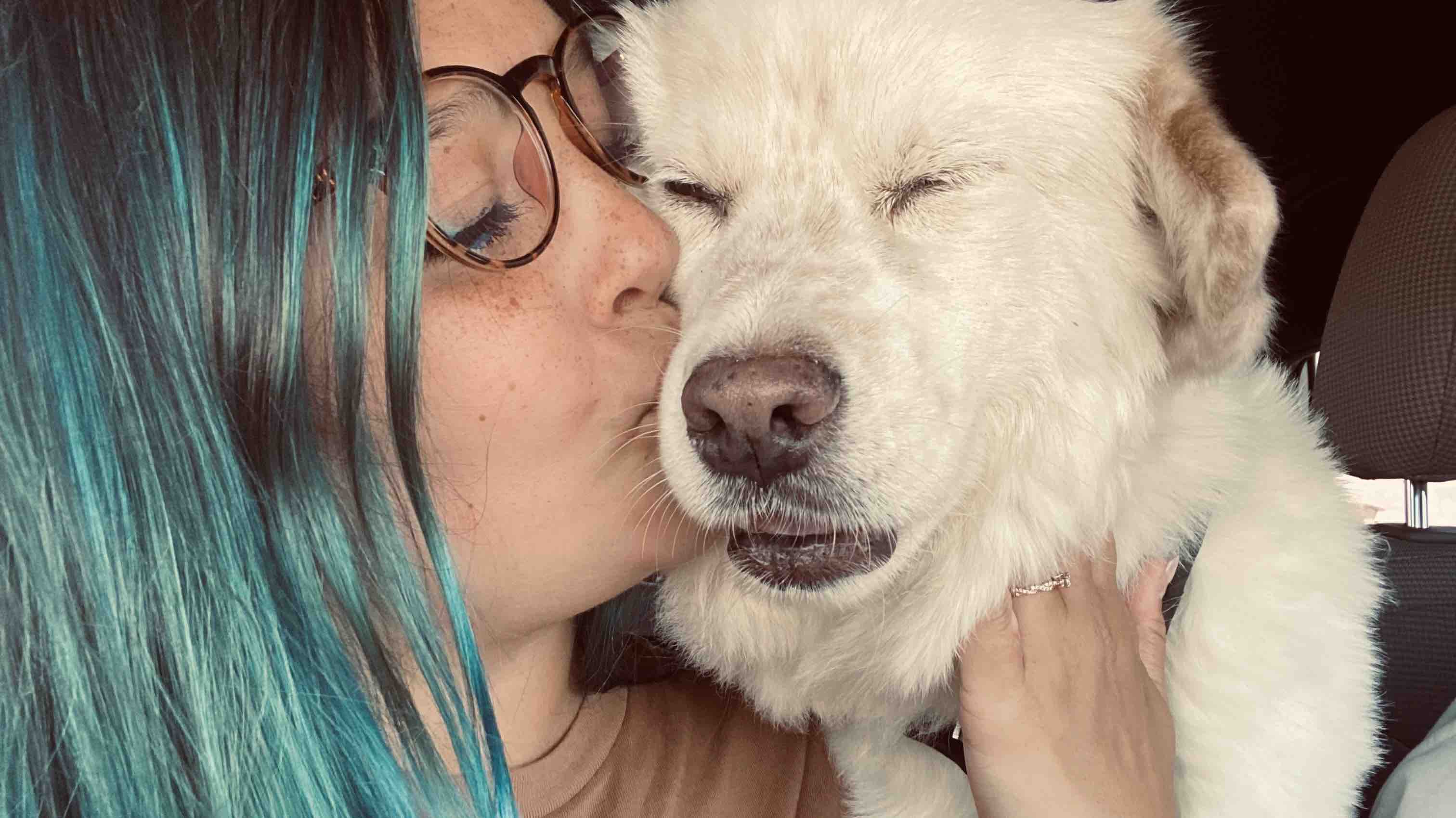 Fundraiser by Kammie Caufield Medical for Kammie & Vet Bills