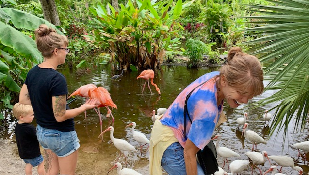 Fundraiser by Allison Finder : Help Preserve Ellie's Favorite Wildlife ...