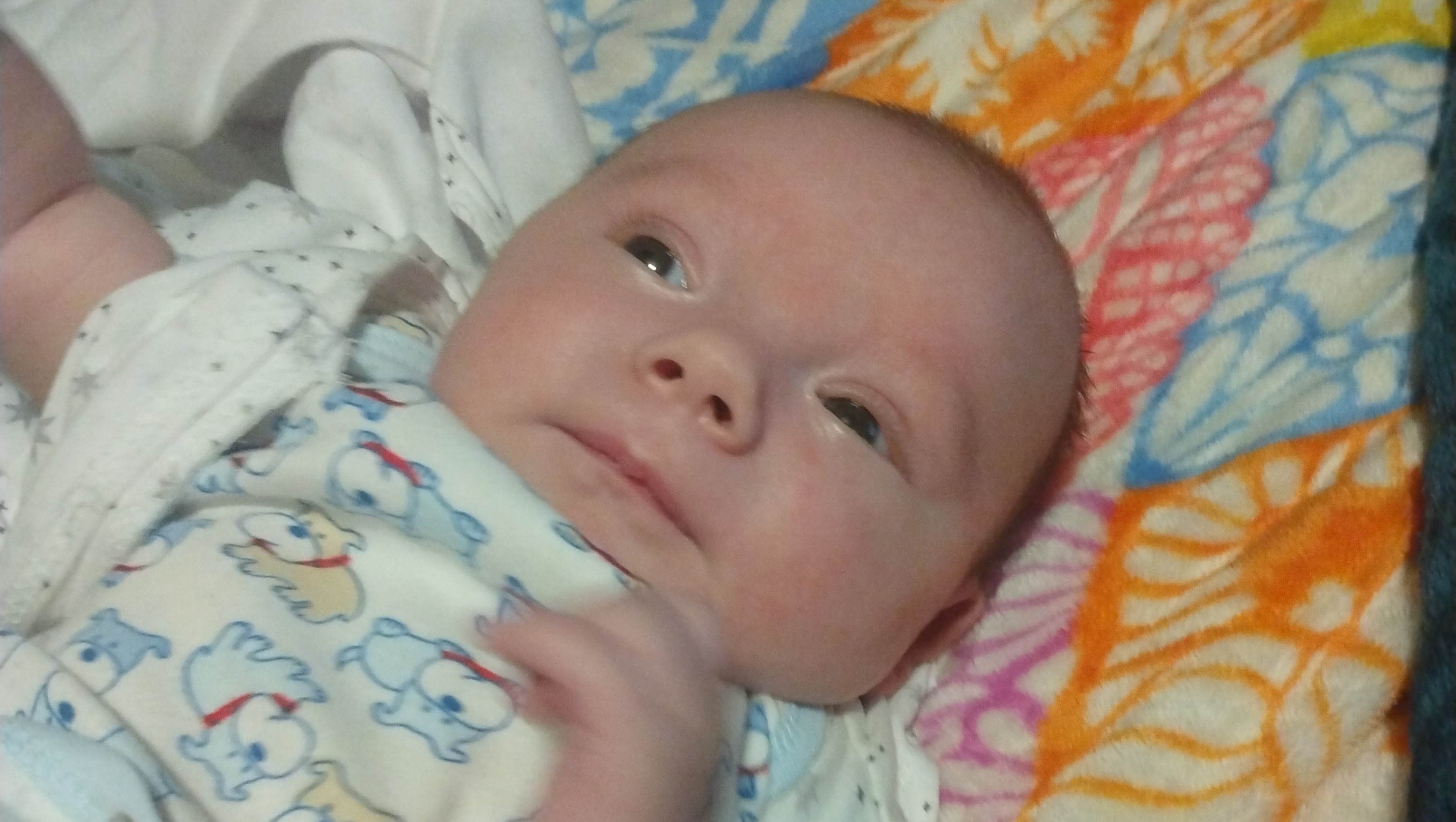 Talan Renner Parents Business 97 - 1k4wb5s