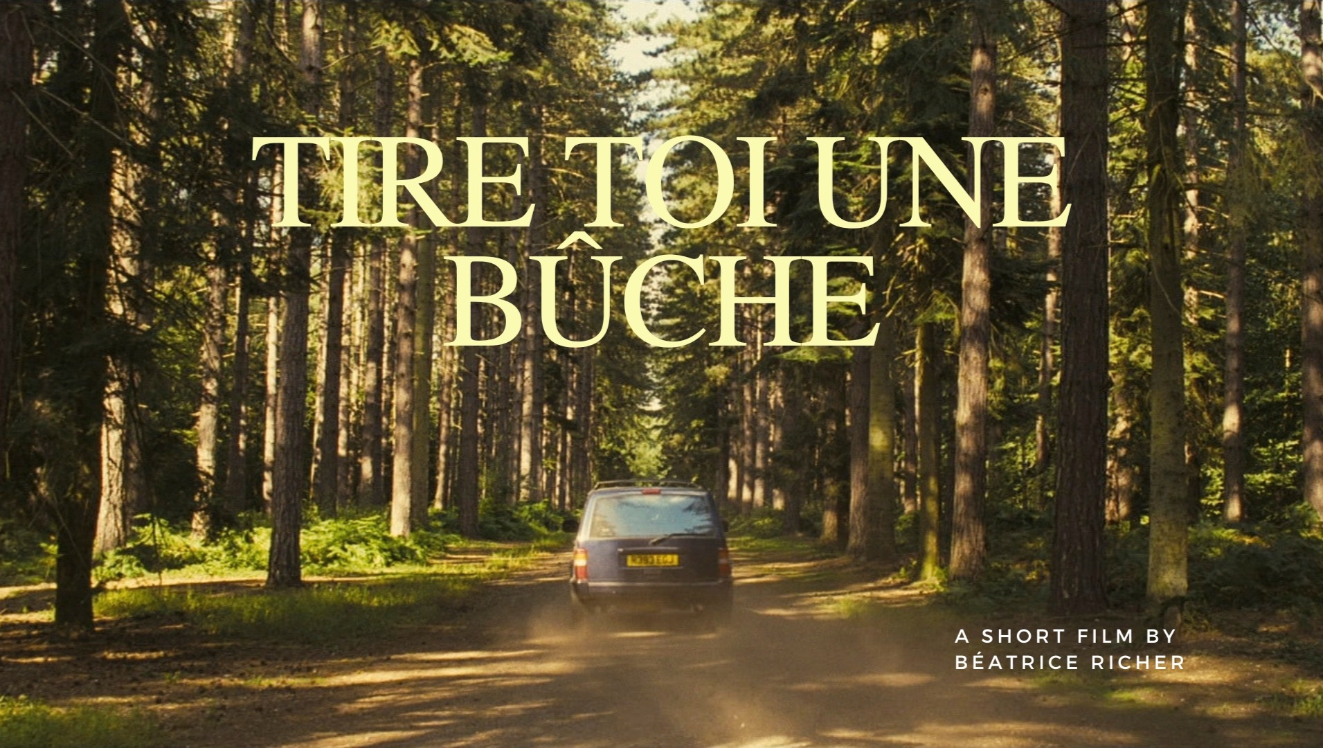 Fundraiser by Béatrice Richer Graduation film project "Tire toi une bûche"