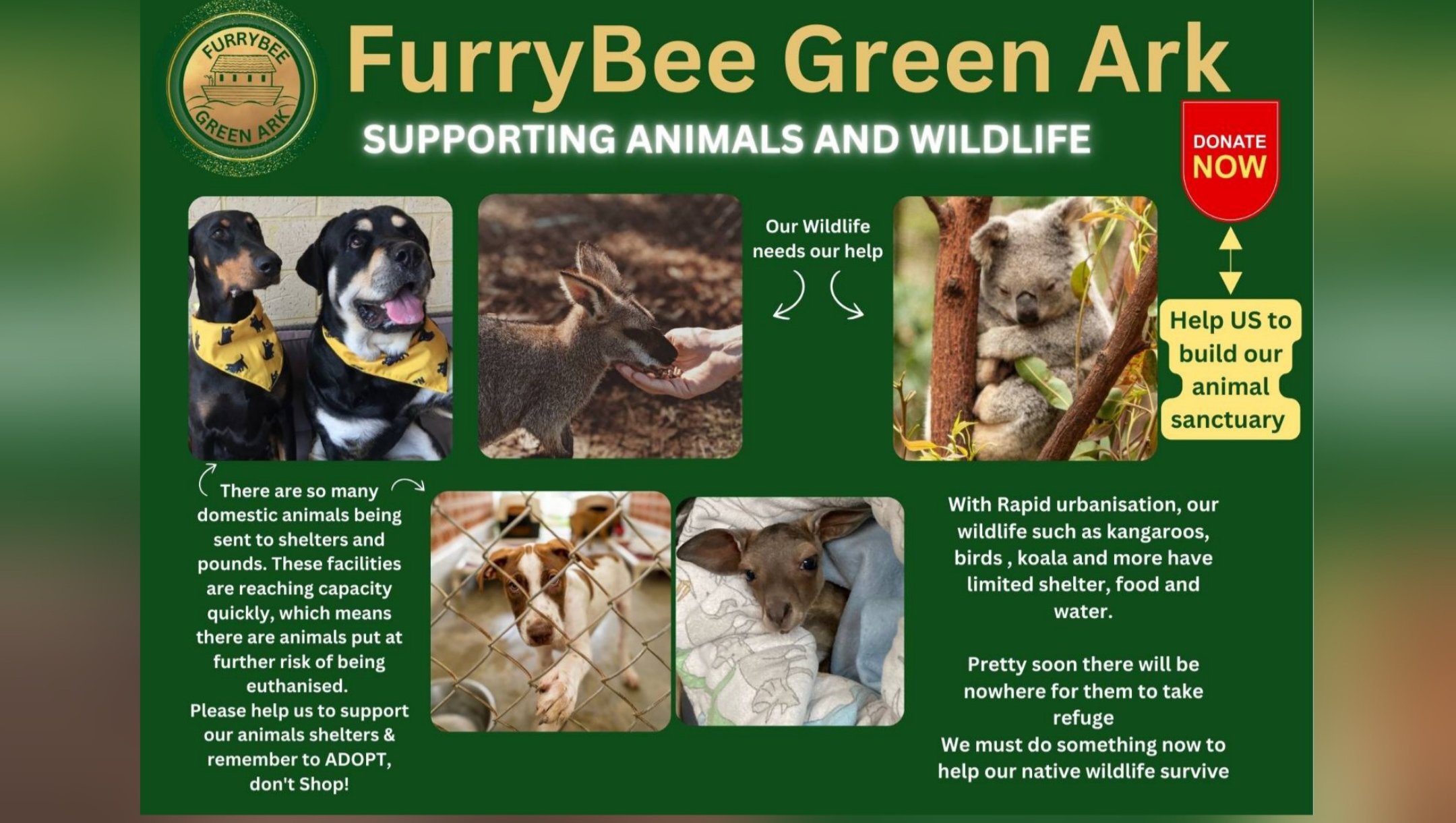 FurryBee Green Ark - Non-Profit Organisation photo