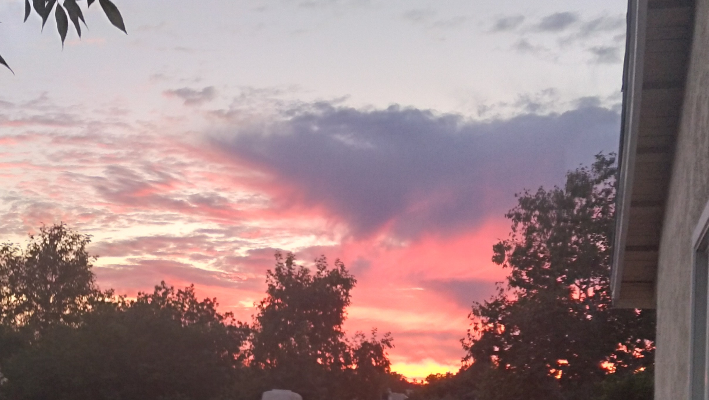 Help Pilar Replace the Scammed funds ASAP photo