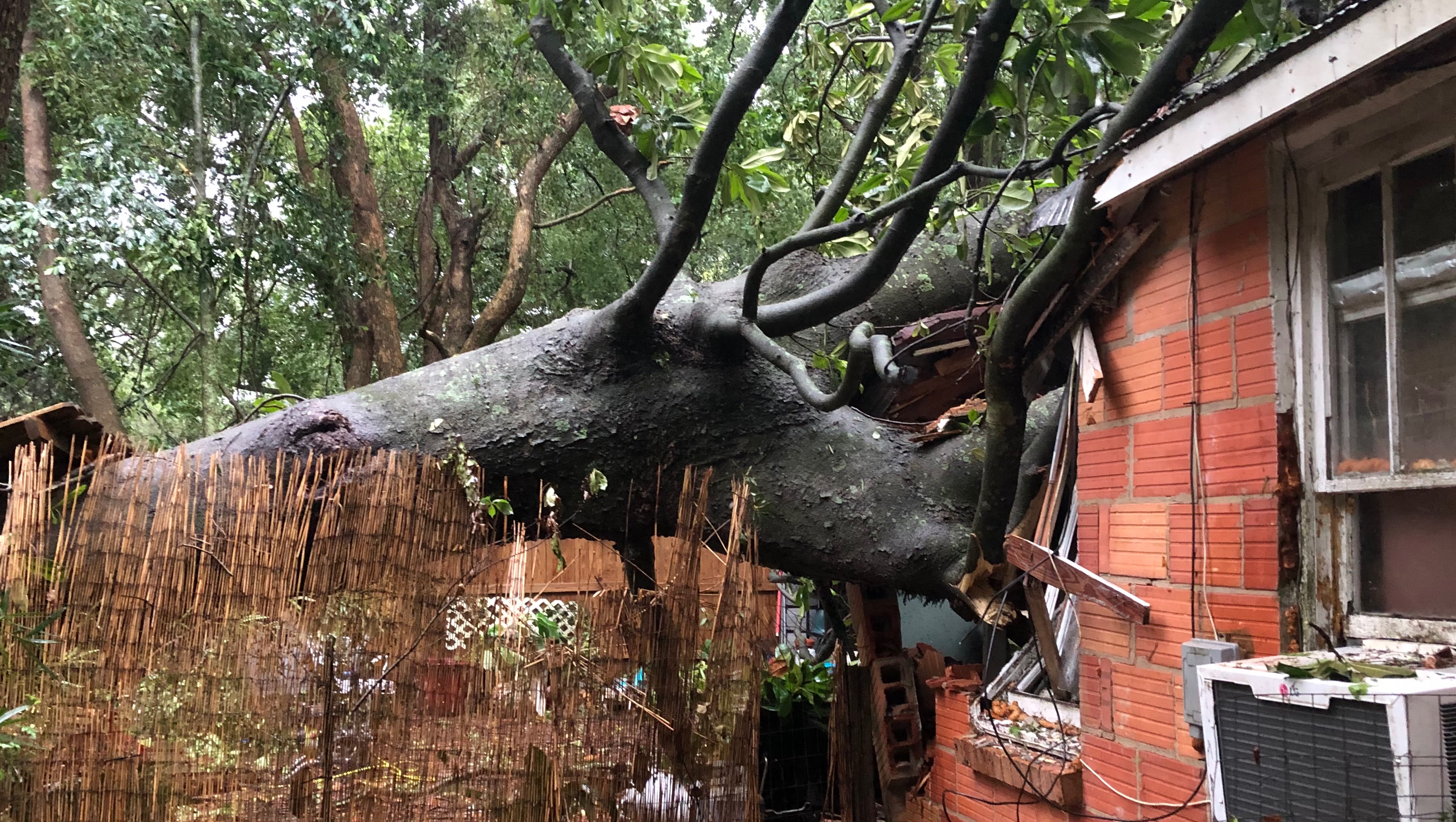 Fundraiser by Alana Murrill Help Leianda Rebuild After Tornado Damage