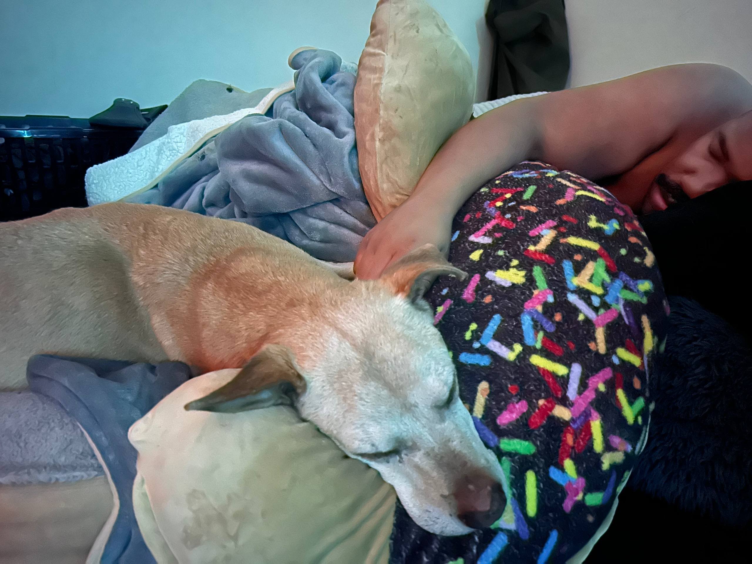 Axl's Journey: Chase is Dying From Cancer on Tuesday at 5:30 campaign photo, 7 of 8