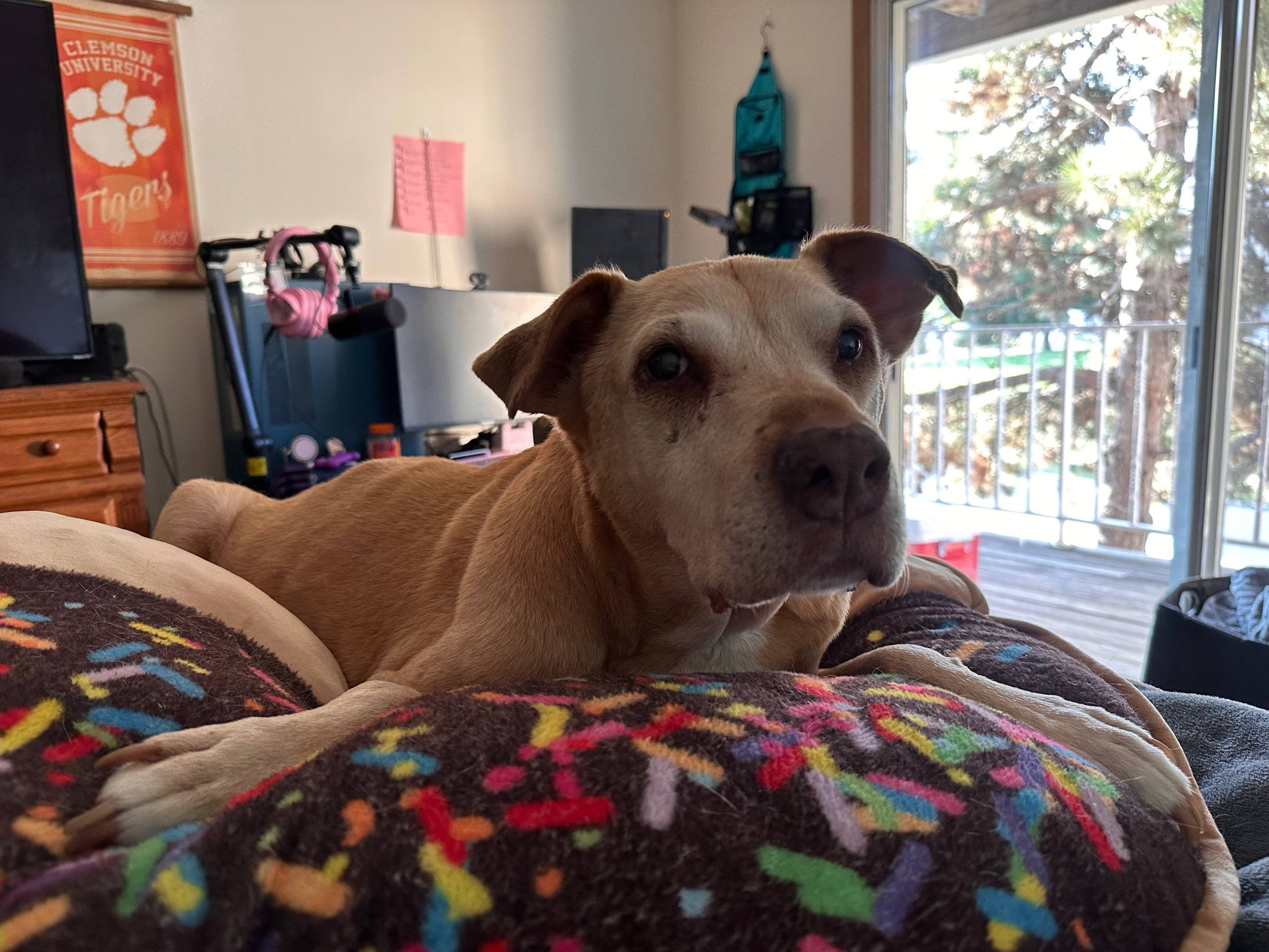 Axl's Journey: Chase is Dying From Cancer on Tuesday at 5:30 campaign photo, 2 of 8