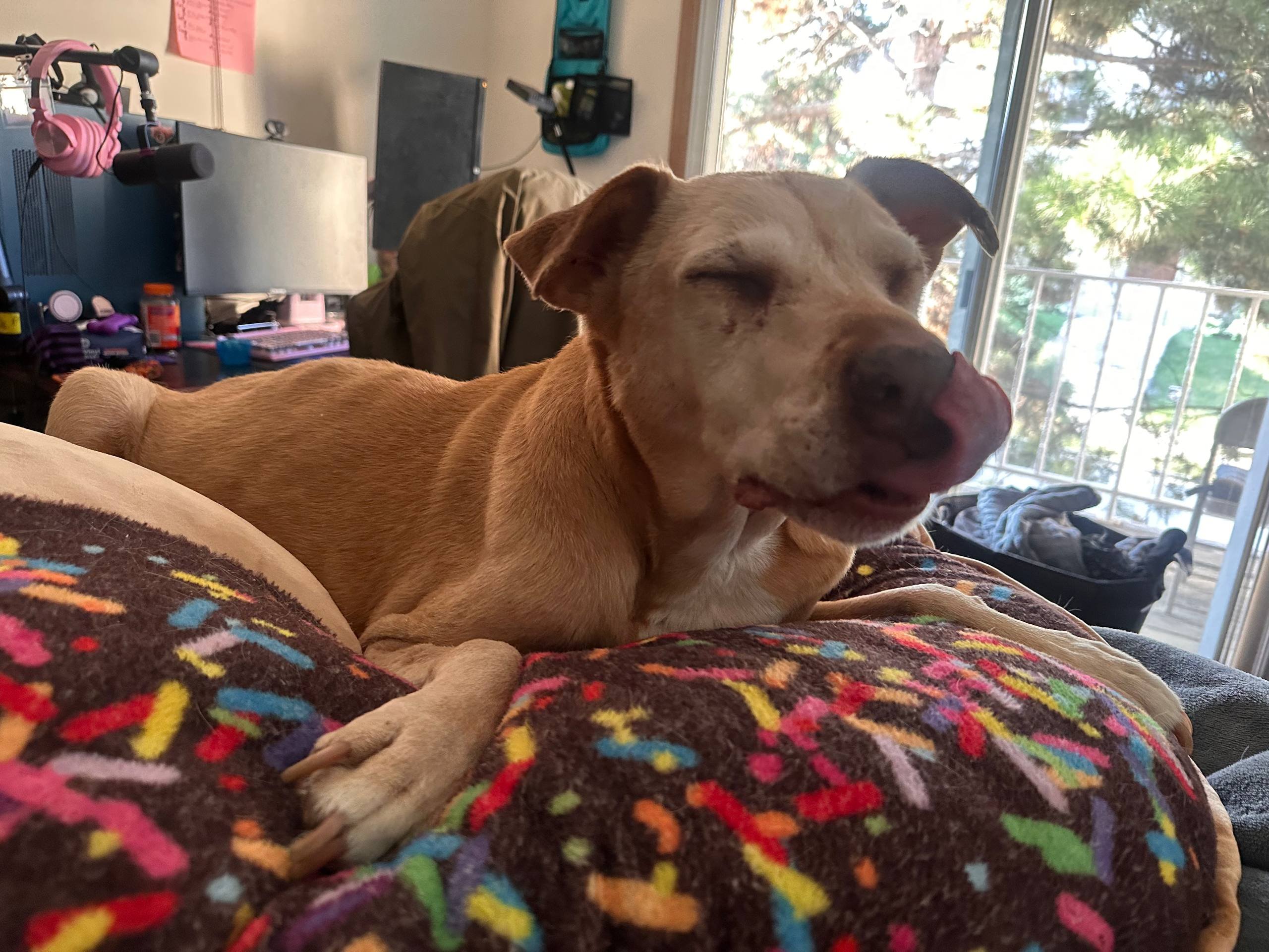 Axl's Journey: Chase is Dying From Cancer on Tuesday at 5:30 campaign photo, 4 of 8