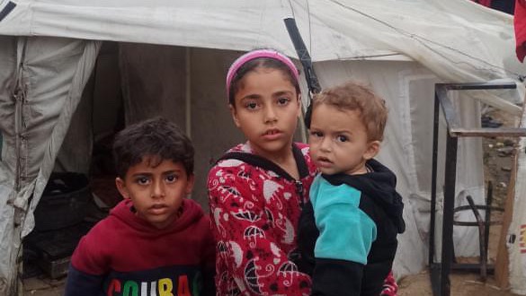 Help Dina’s family survive displacement from their homeland photo