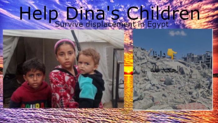 Help Dina’s family survive displacement from their homeland photo