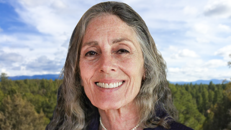 Fundraiser by Ondrea Levine : Help Ondrea Fix Her Solar System