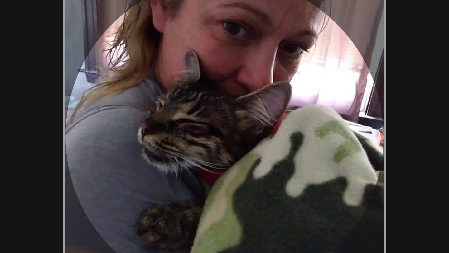 Animal Sanctuary Needed photo