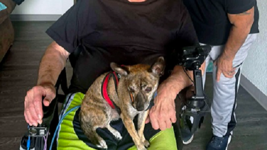 Donate for Taco's Shots and Neutering photo