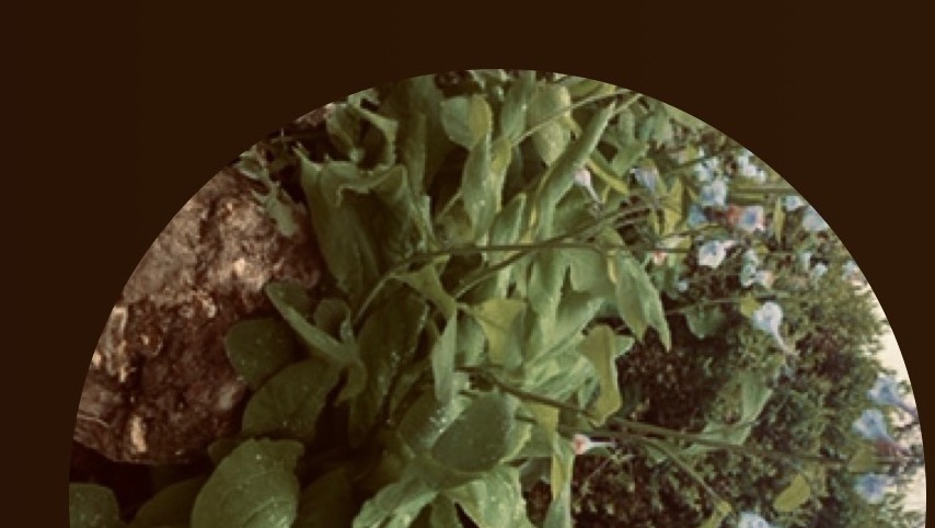 Gallery image with a fresh perspective