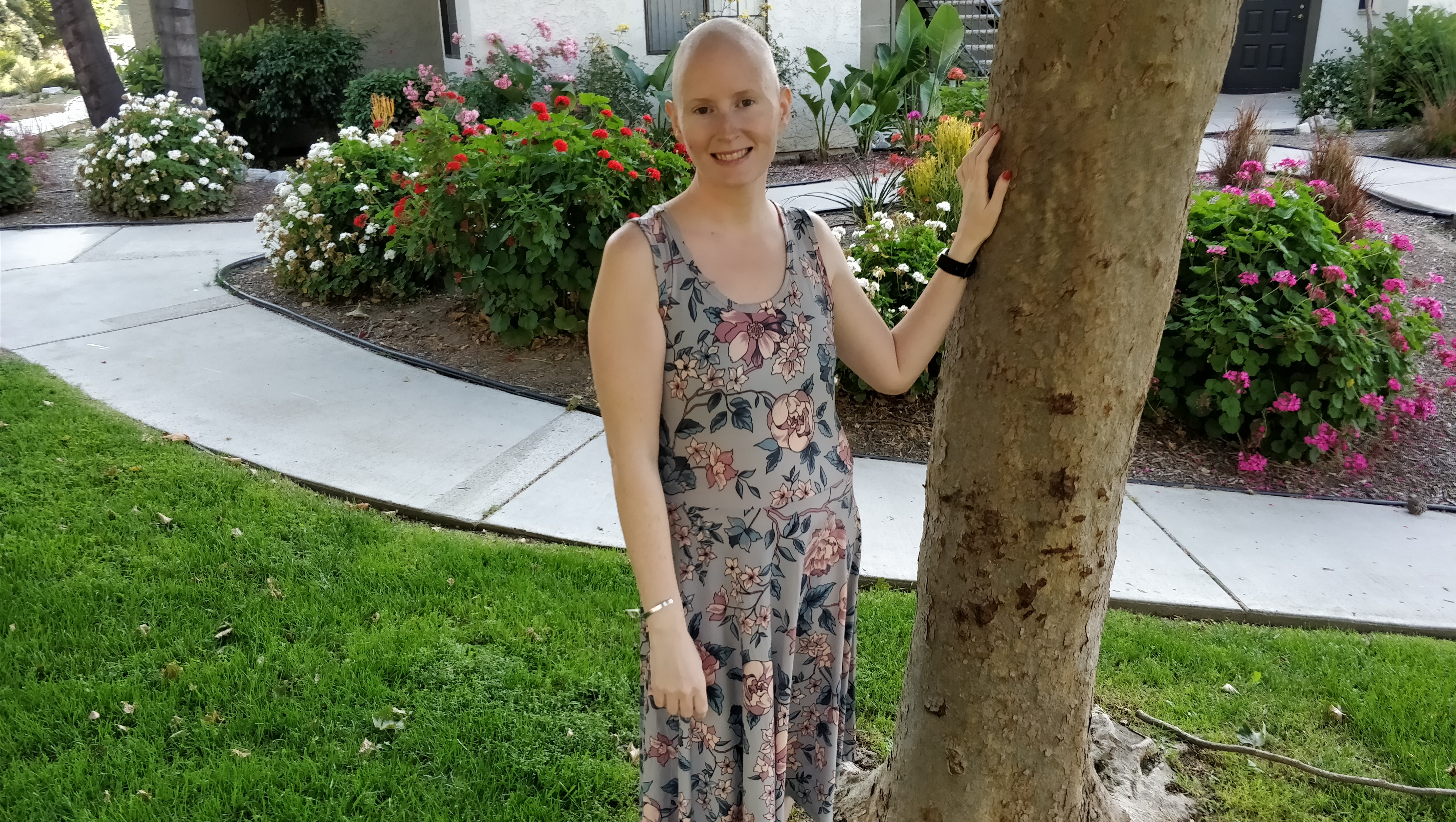 Maintenance Treatment for Breast Cancer pinned link photo