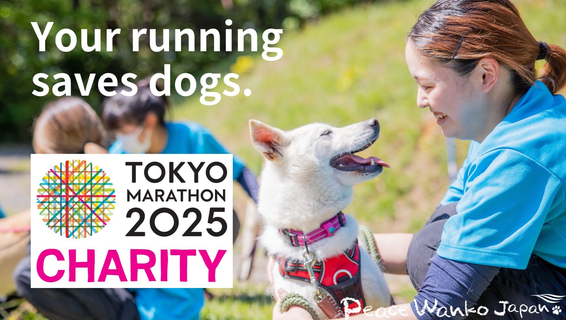 Support Peace Winds Japan:Save Dogs & Strengthen Communities photo
