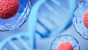 Il sogno di Elisabetta photo