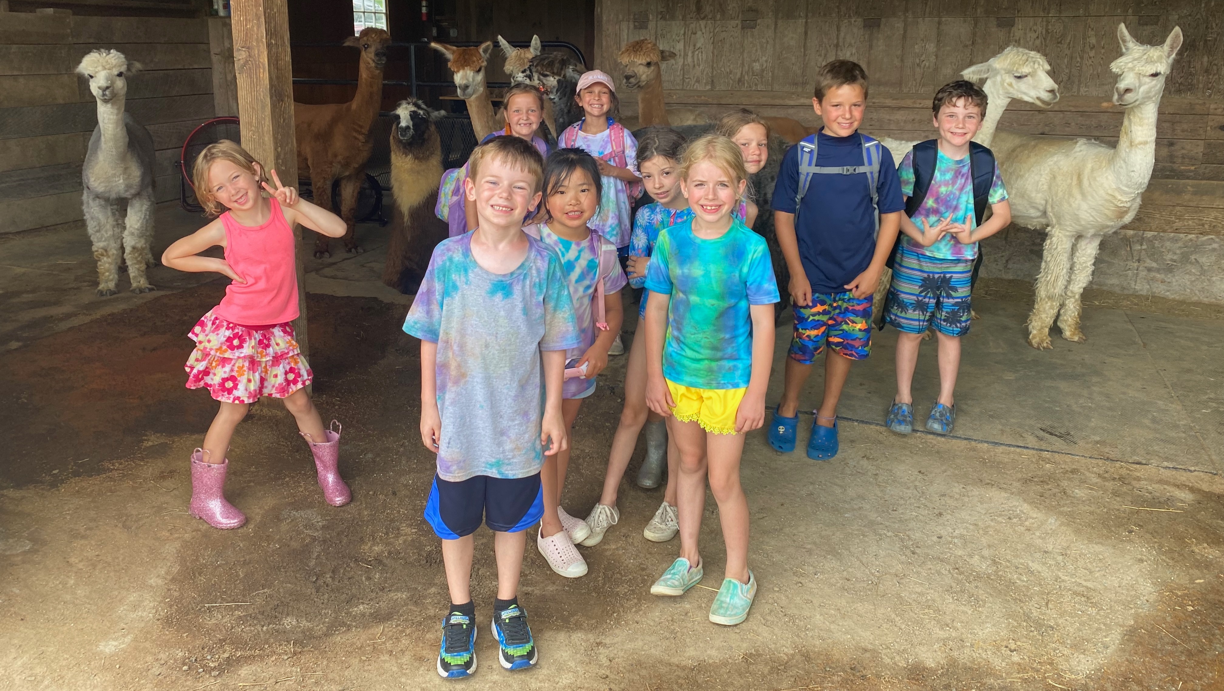 Fundraiser by Sharlene Bund Preserve Sugars Bridge Farm and Camp Barnyard